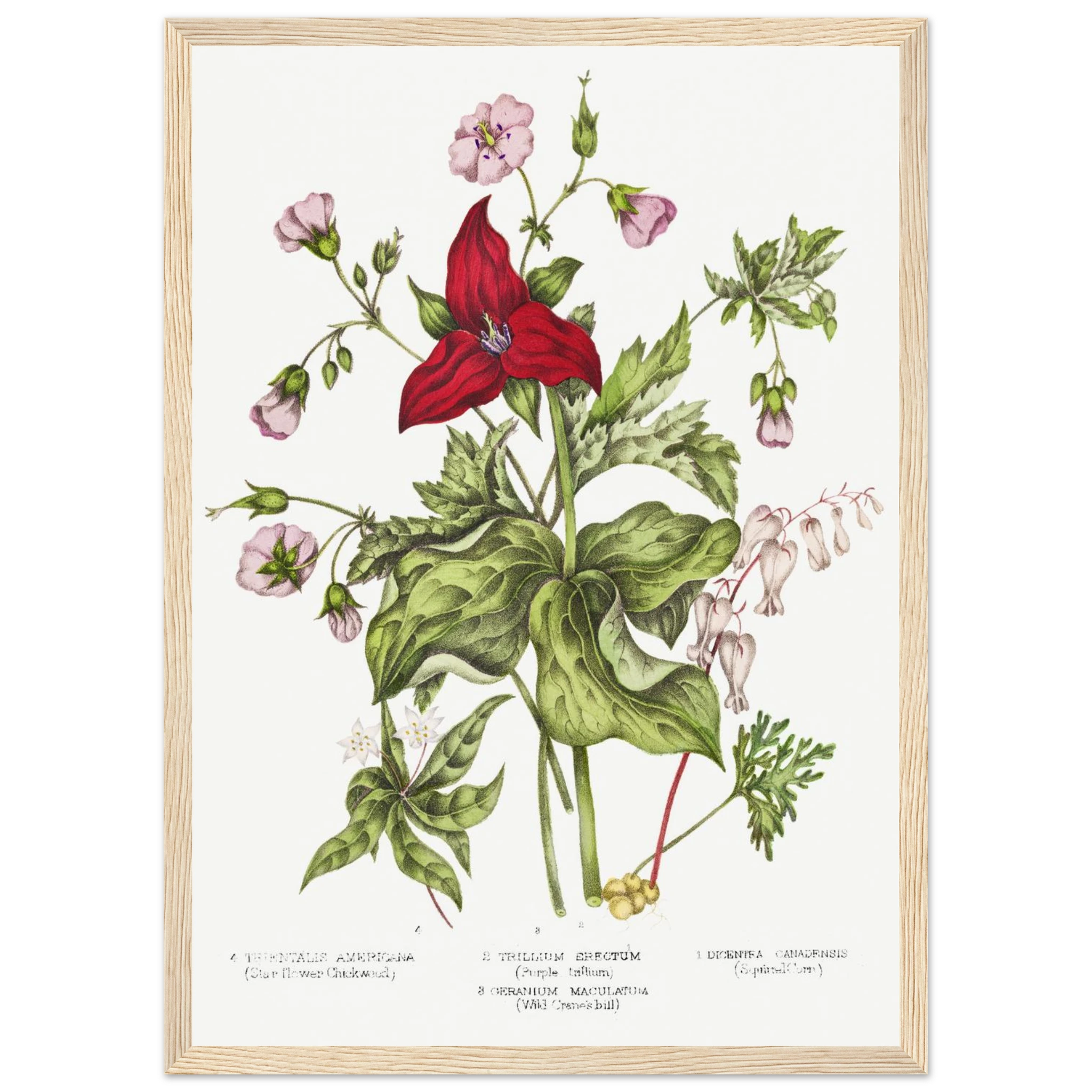 a416c527-defe-4dd6-966c-8701239a9ed3