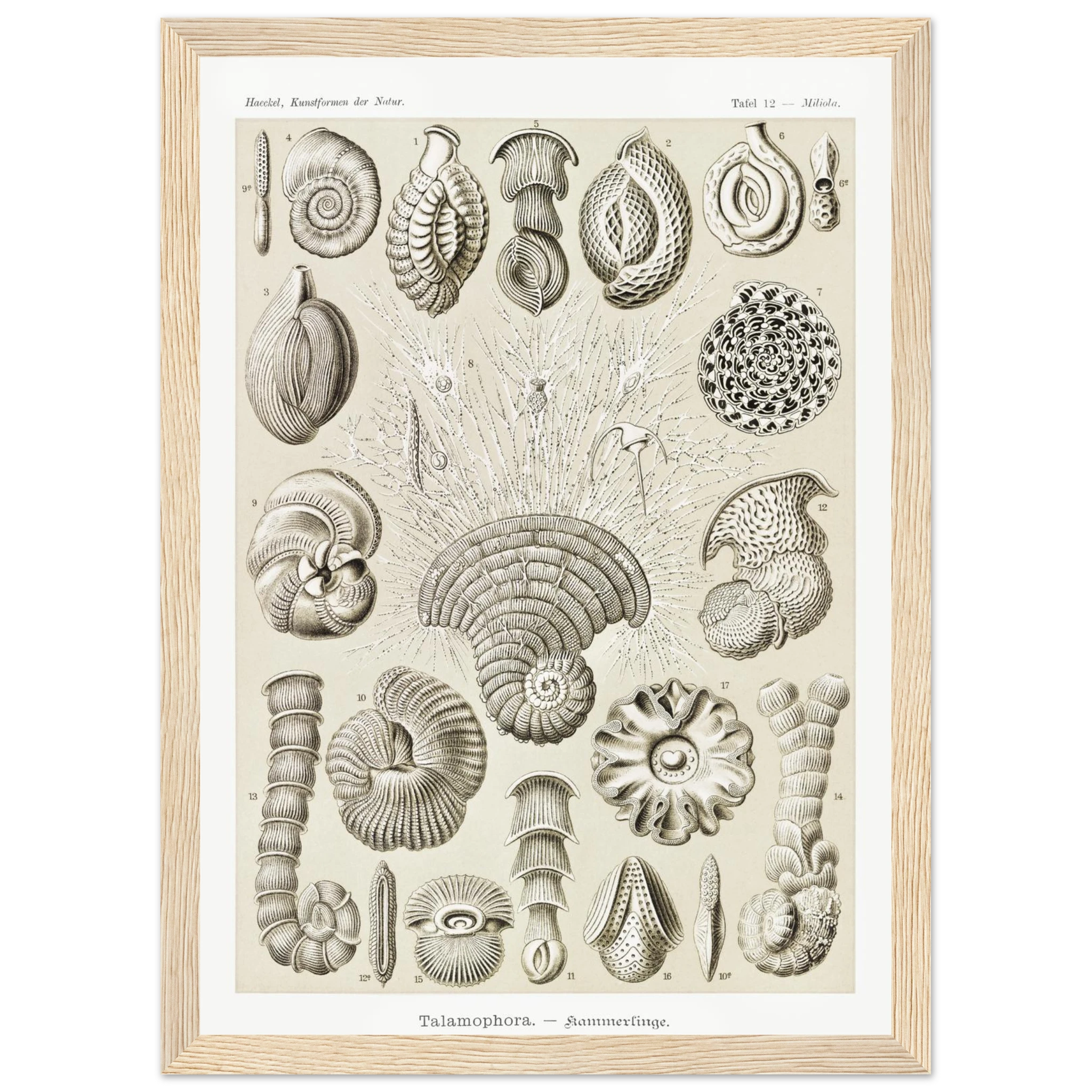 a4291cc4-b255-4155-b346-70b7aae34f73