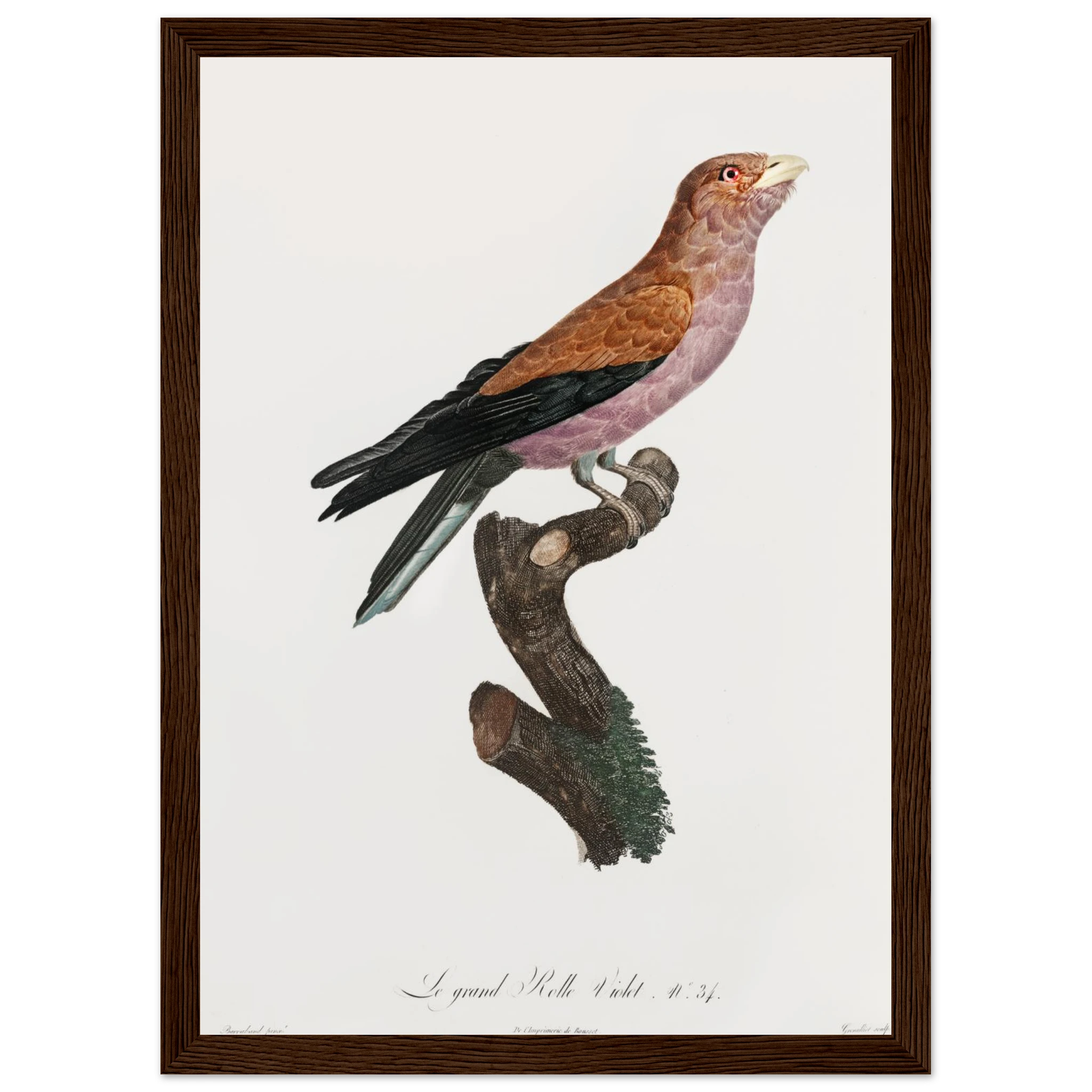 a5040a3a-c874-4c89-a423-1cd732db811b