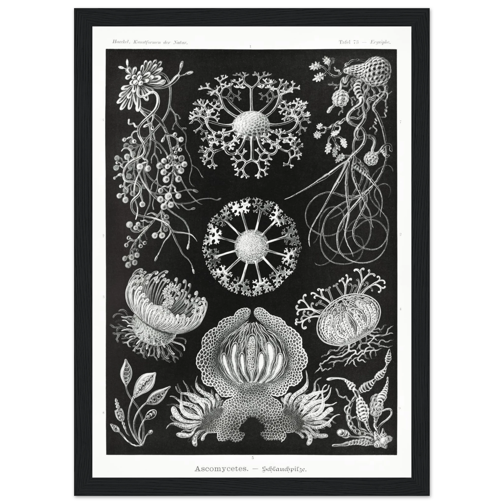 a50a2cb6-879e-456c-9320-0e7307b4fd7c