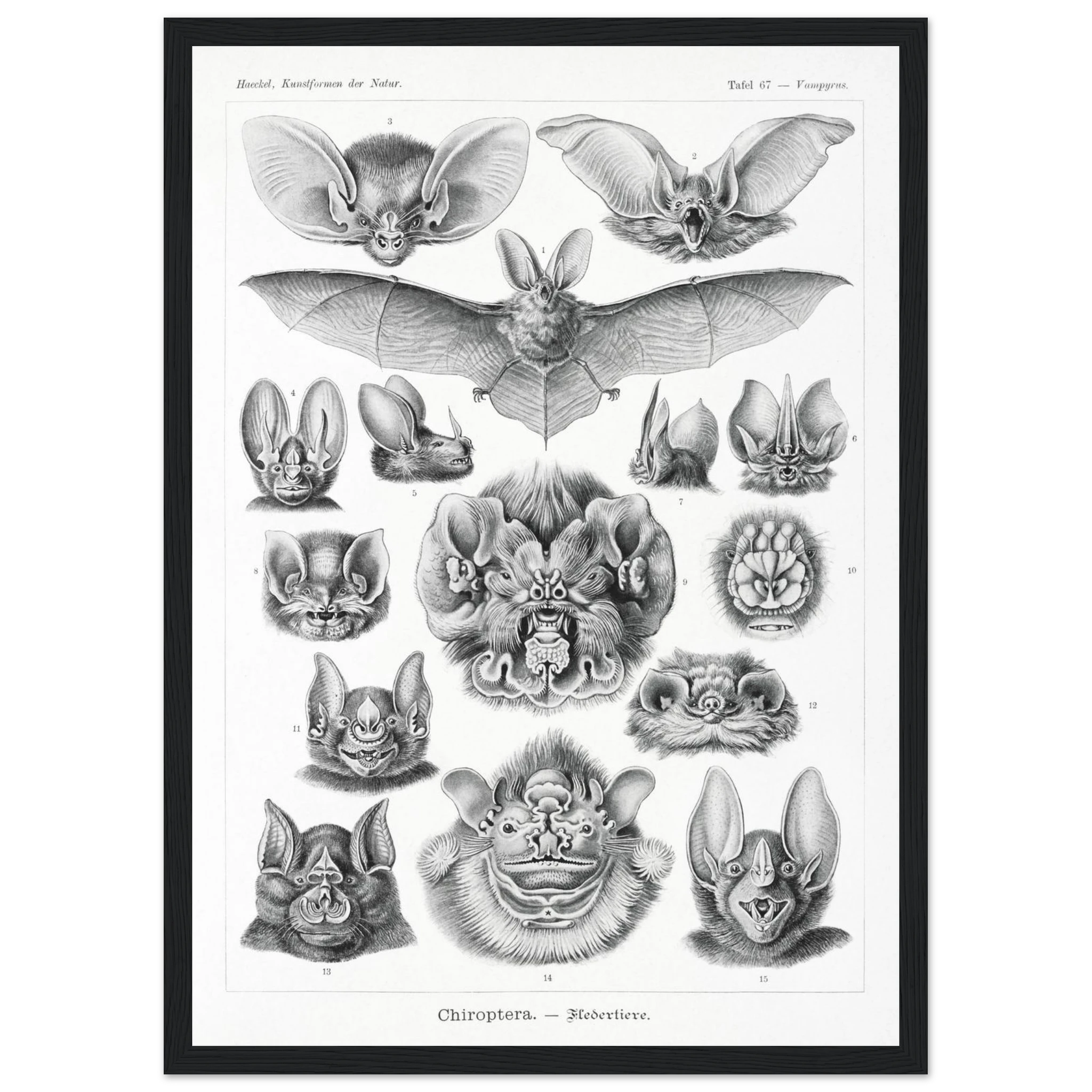 a581c1ec-5b6e-467d-b186-7c6b5d12577f