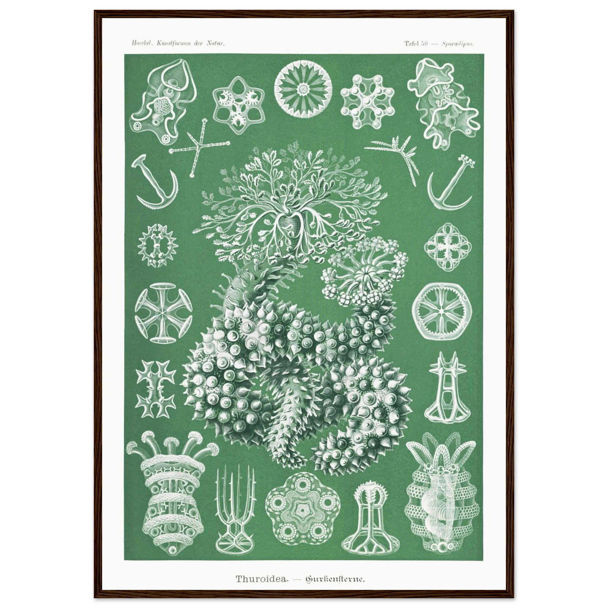 a5b96a1d-8d09-4e8d-9578-023a044afdd1