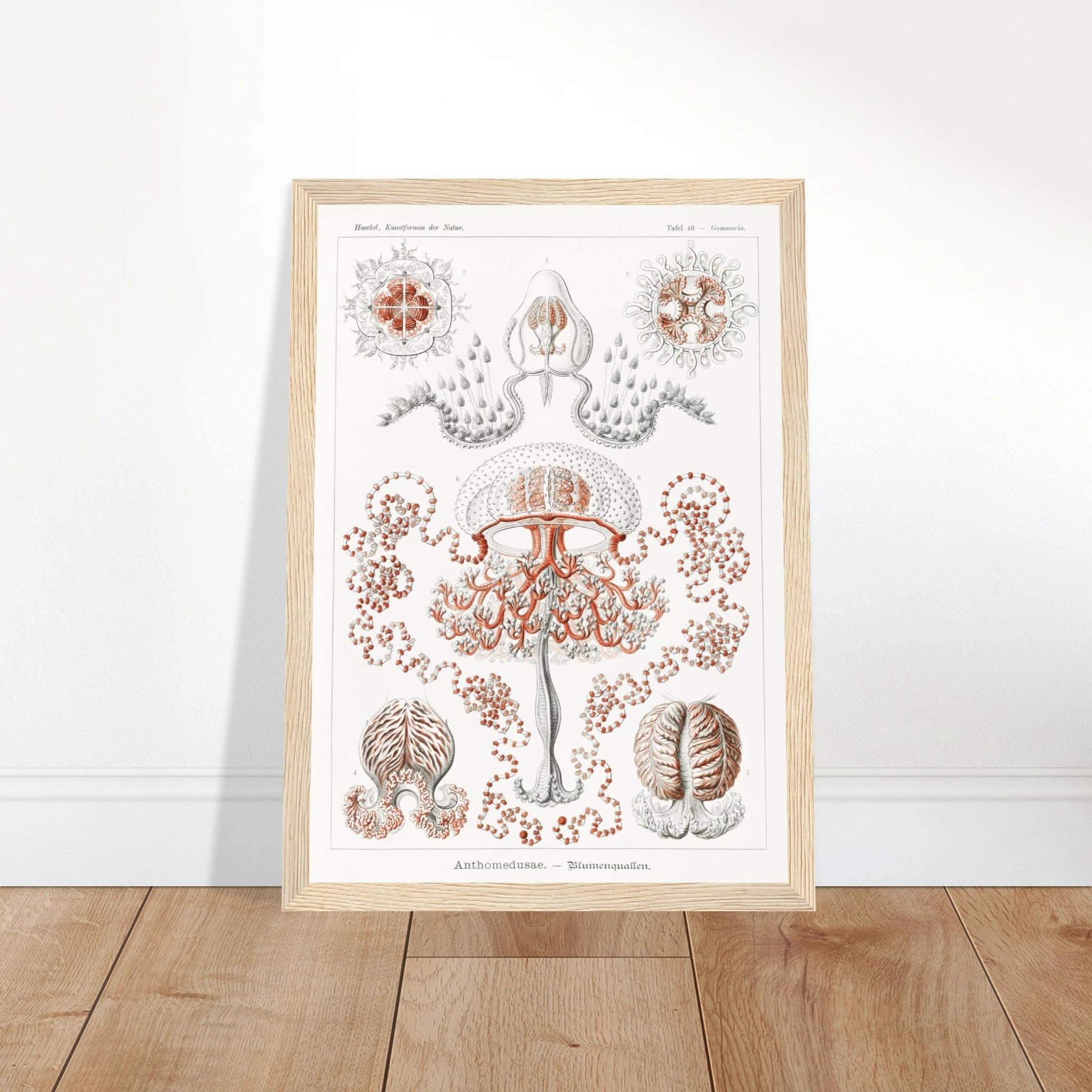 a6426e23-3a96-4100-92eb-5af2ee66871d