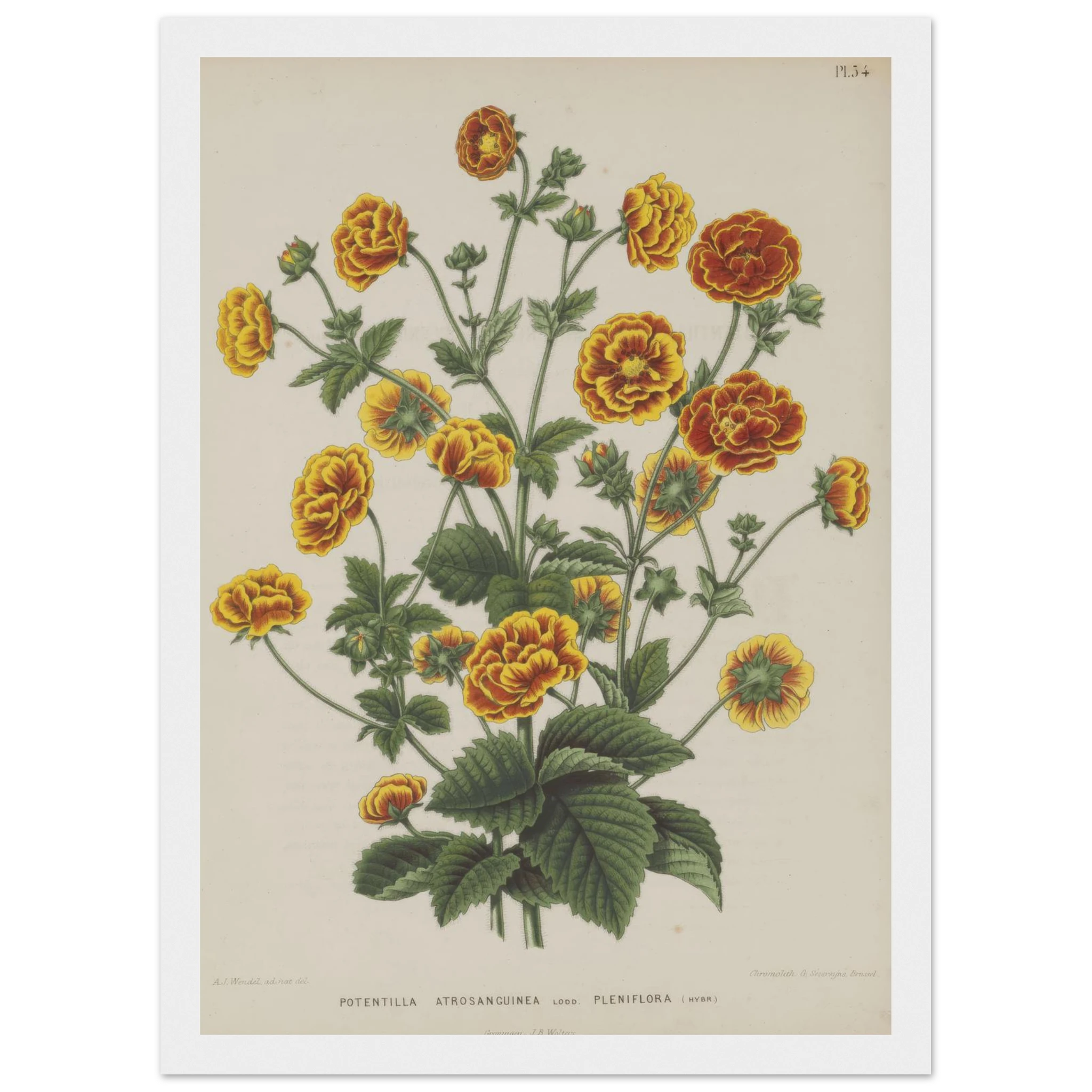 a6c10dbe-c08f-4906-a75b-fc658f50c005