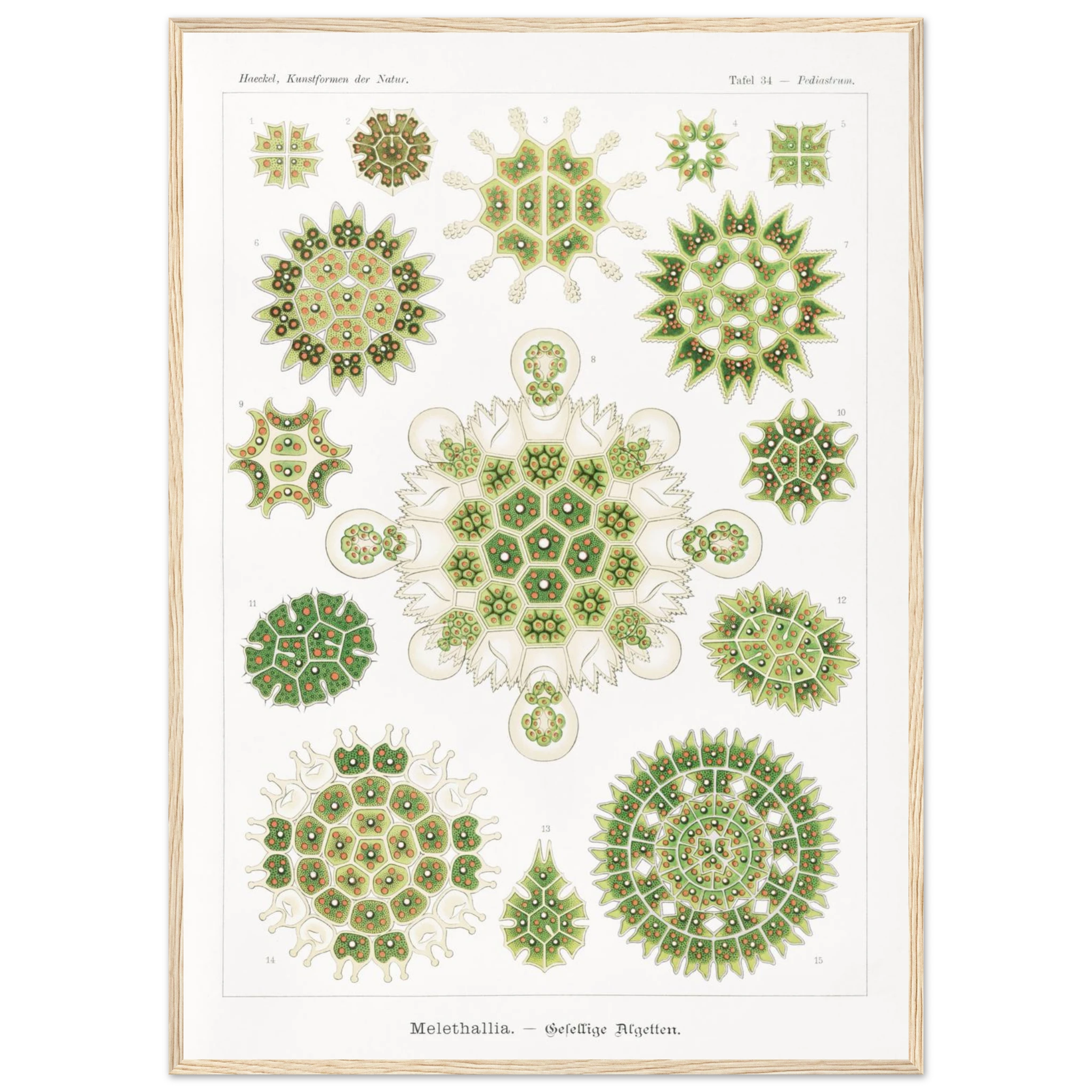 a6d16843-35d7-446d-9514-2a14fe109799