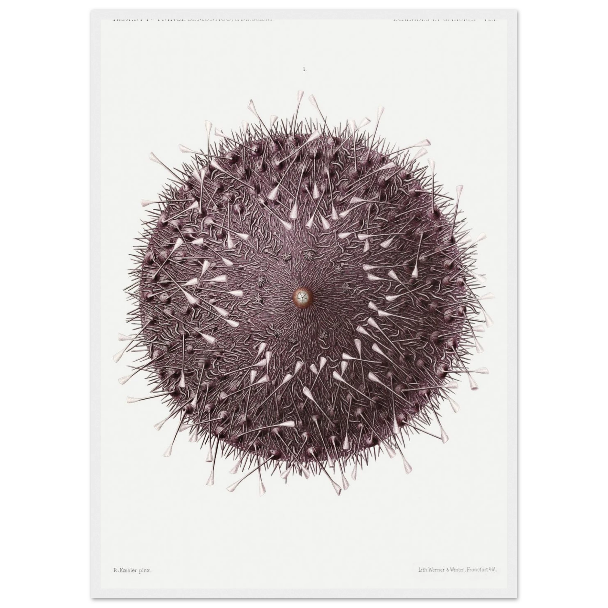 a77688cd-50ce-4f7a-b11e-b0f95fd5139f