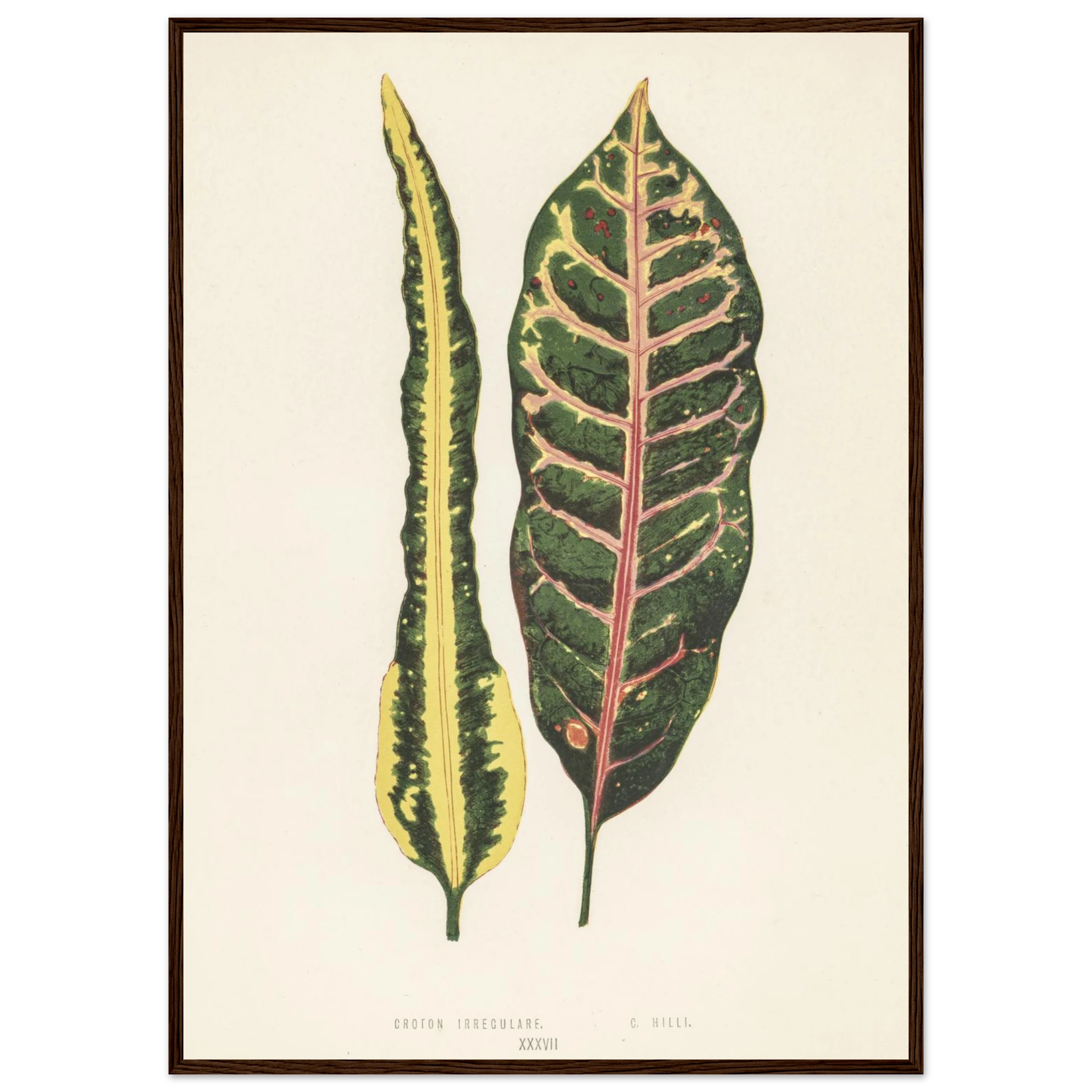 a7e6c4c5-c7fd-4852-b7d1-064419bb8ec7