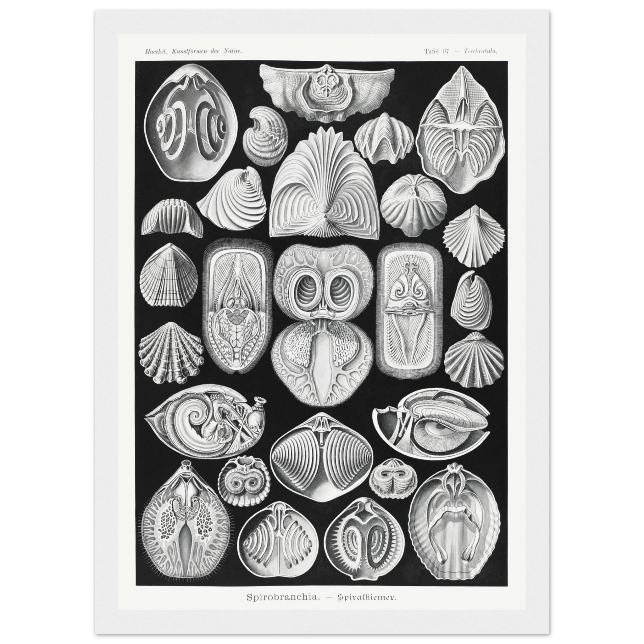 a8079cde-9305-4de5-940a-b330c4d39fa4