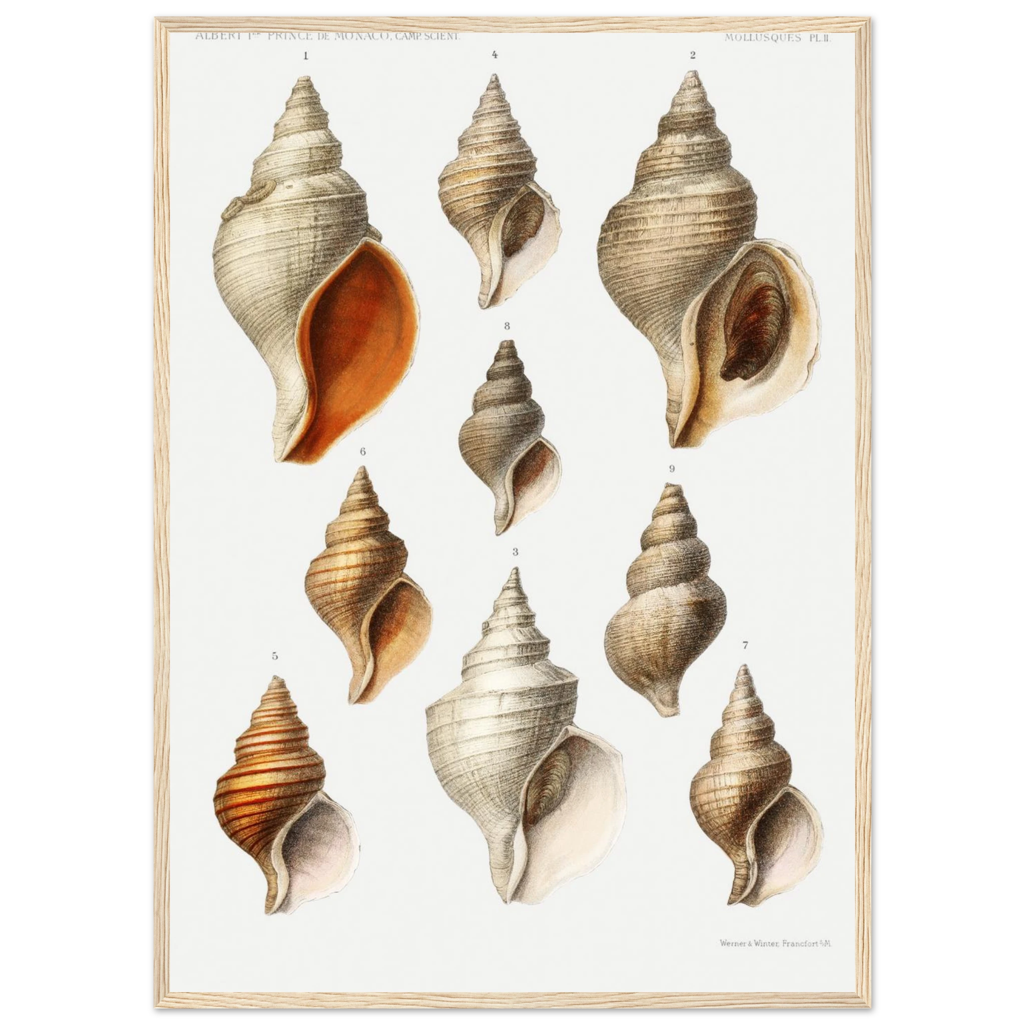 a83027a5-169d-48f4-b554-9e1f285953fd