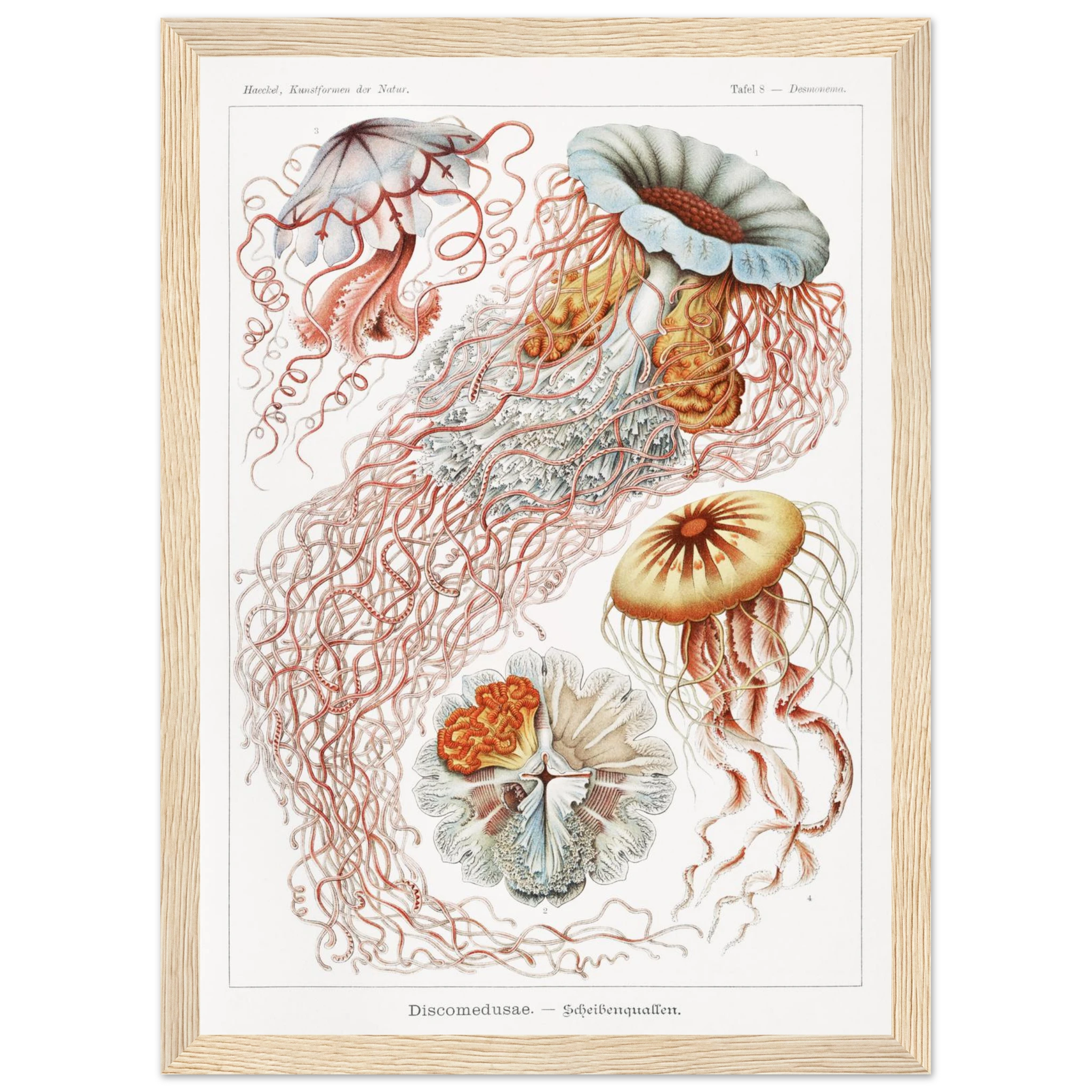 a860cf2a-9016-487f-88dc-cceff1d1a589