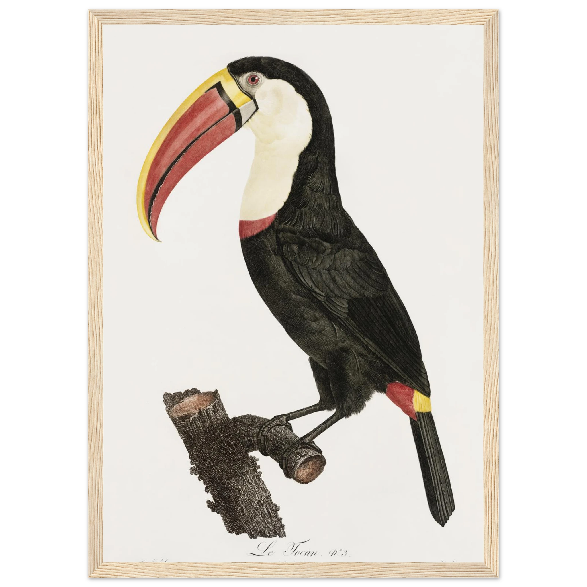 a862f302-8855-48c2-ba17-0ce93d1b25bd