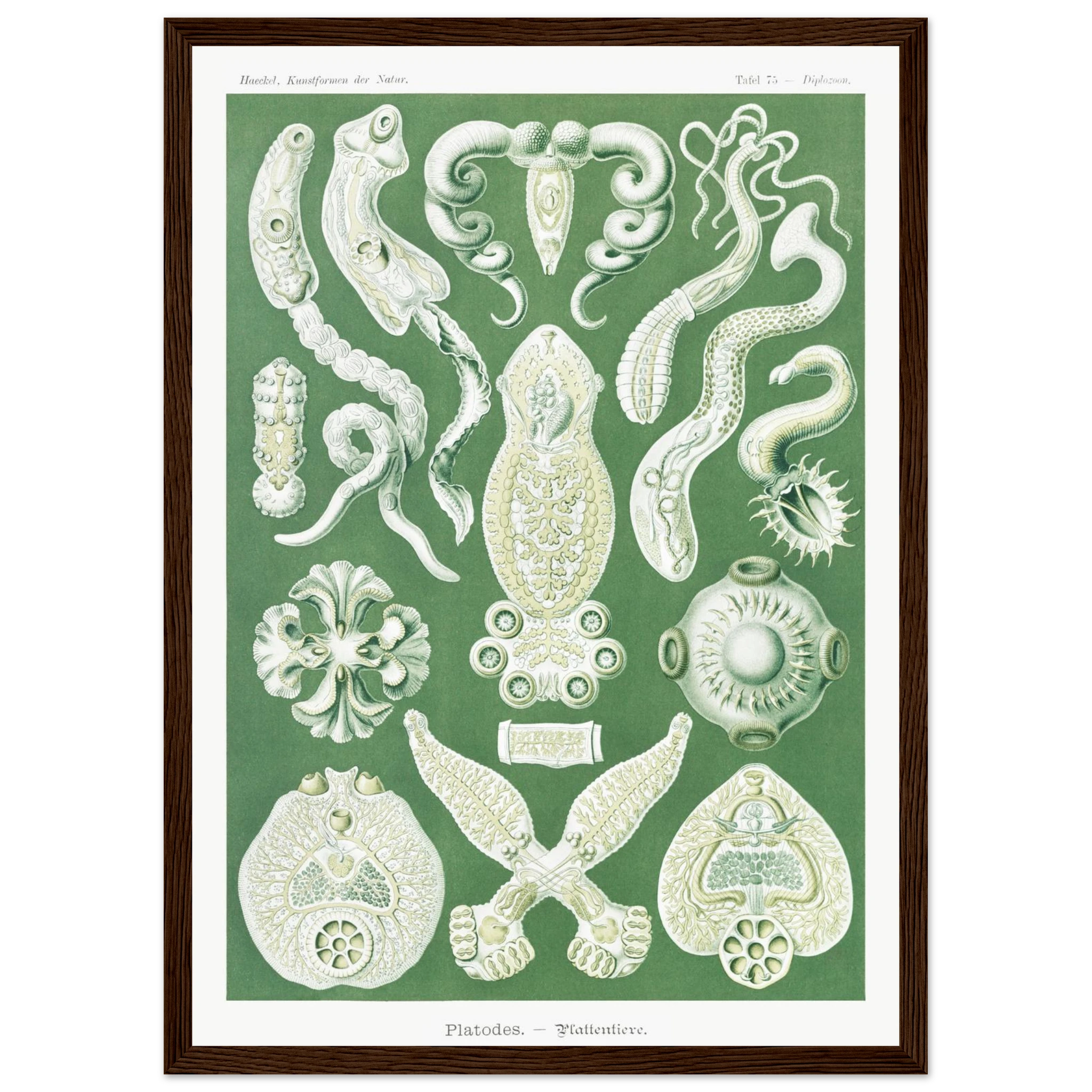 a86c63cd-54d1-4f51-8133-613cc7c8b621