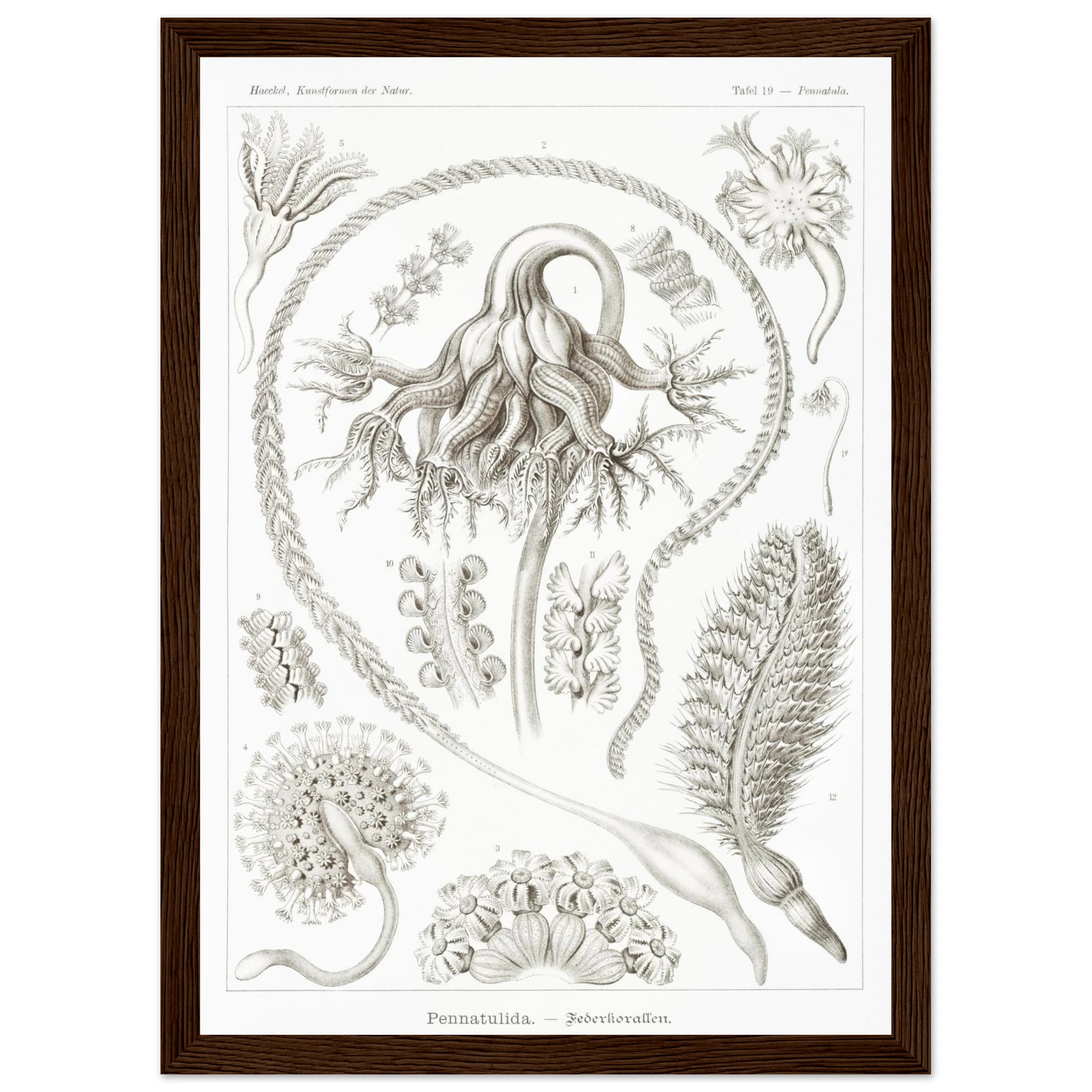 a8715c72-8821-4aa7-bd18-e3c129ebedee