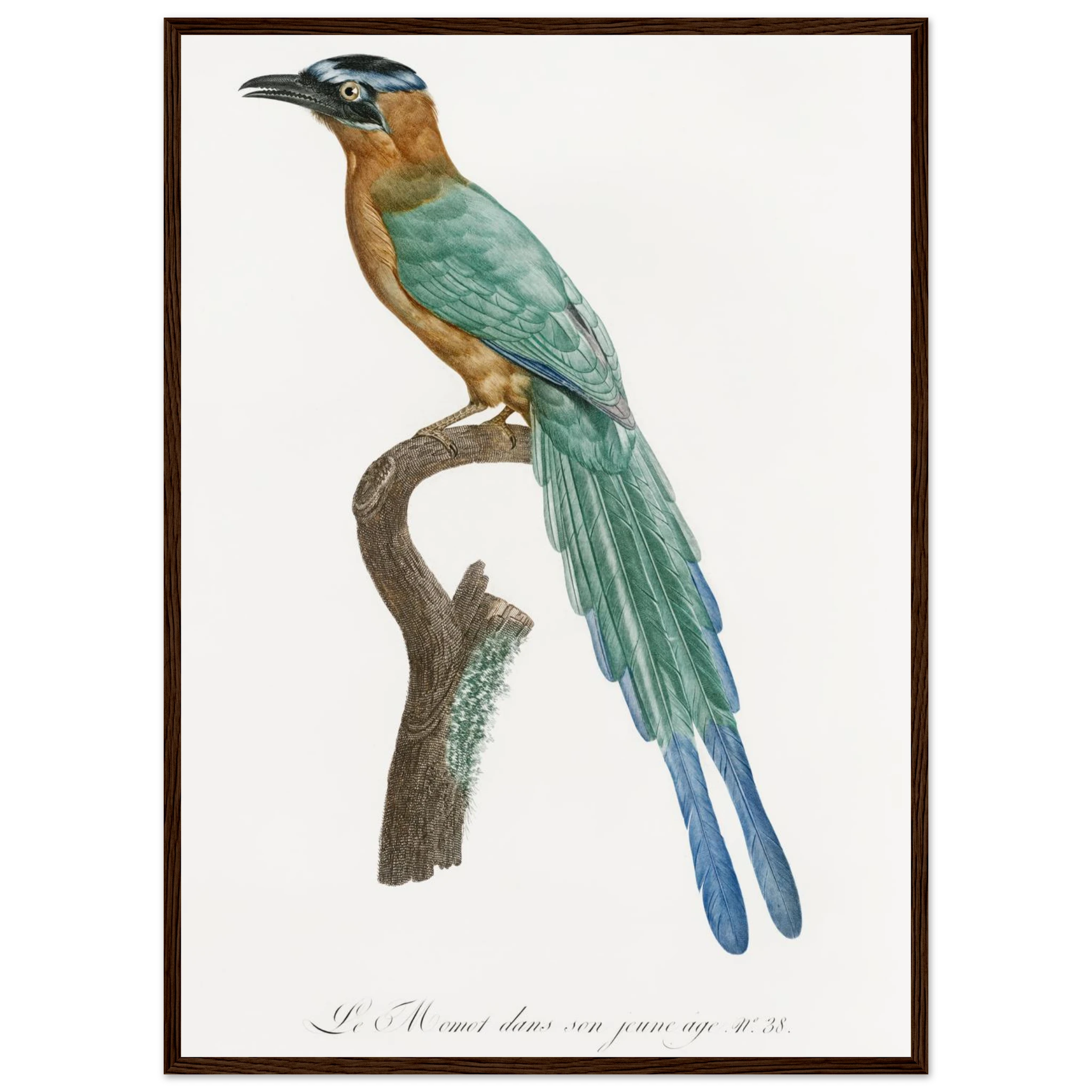 a89fb63e-8d7e-47ef-bcc6-9abd003eb583