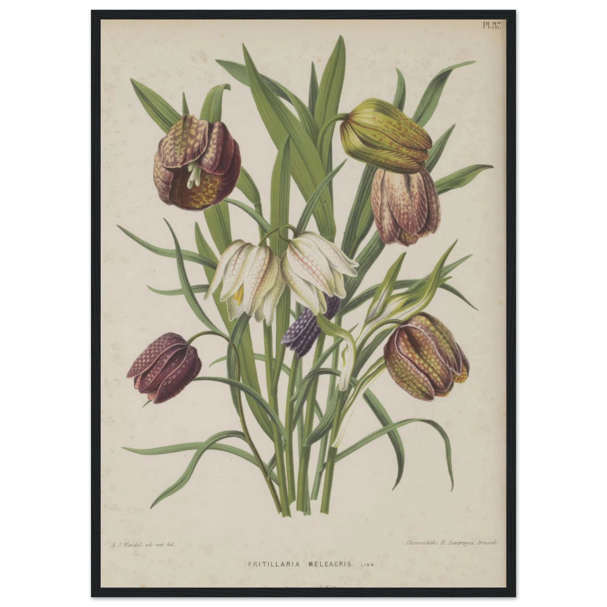 a8a92221-fd8e-4ad0-8541-3932ab4e3354