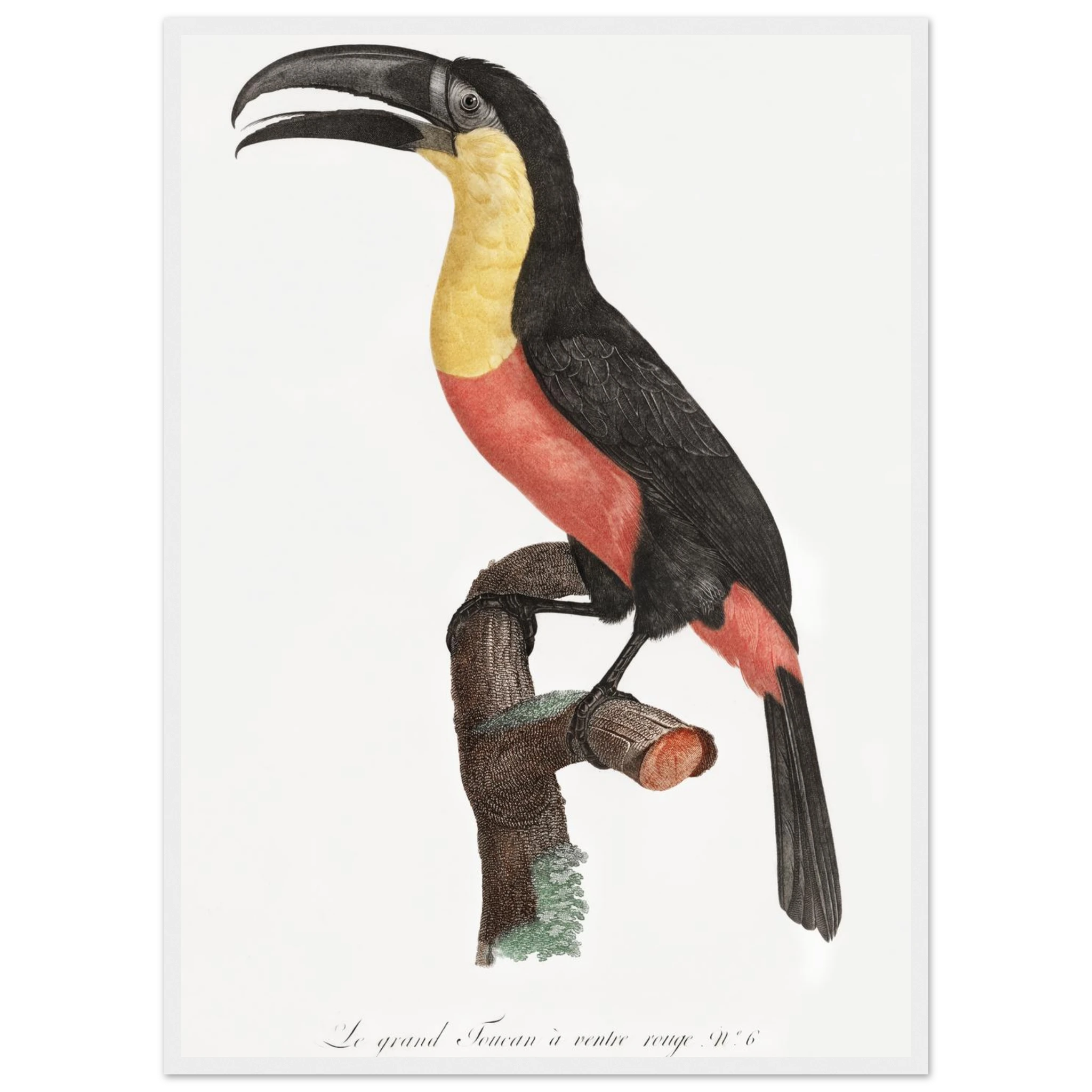 a8b7734c-da8f-4ca4-a633-027b97a613f2