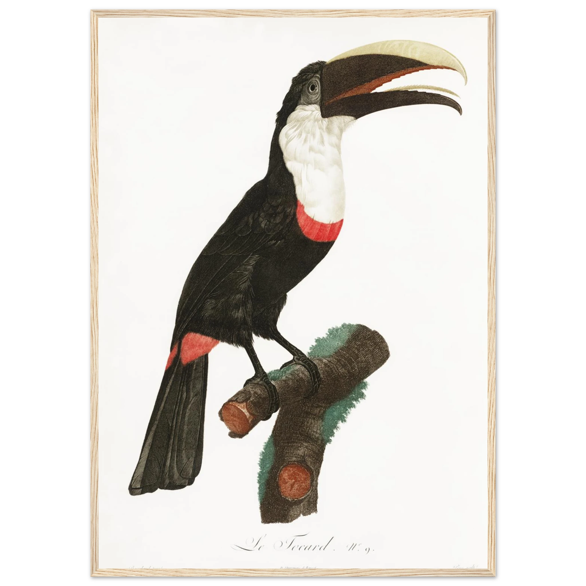 a8e48e01-dc3c-4075-ae45-43ca170e7013