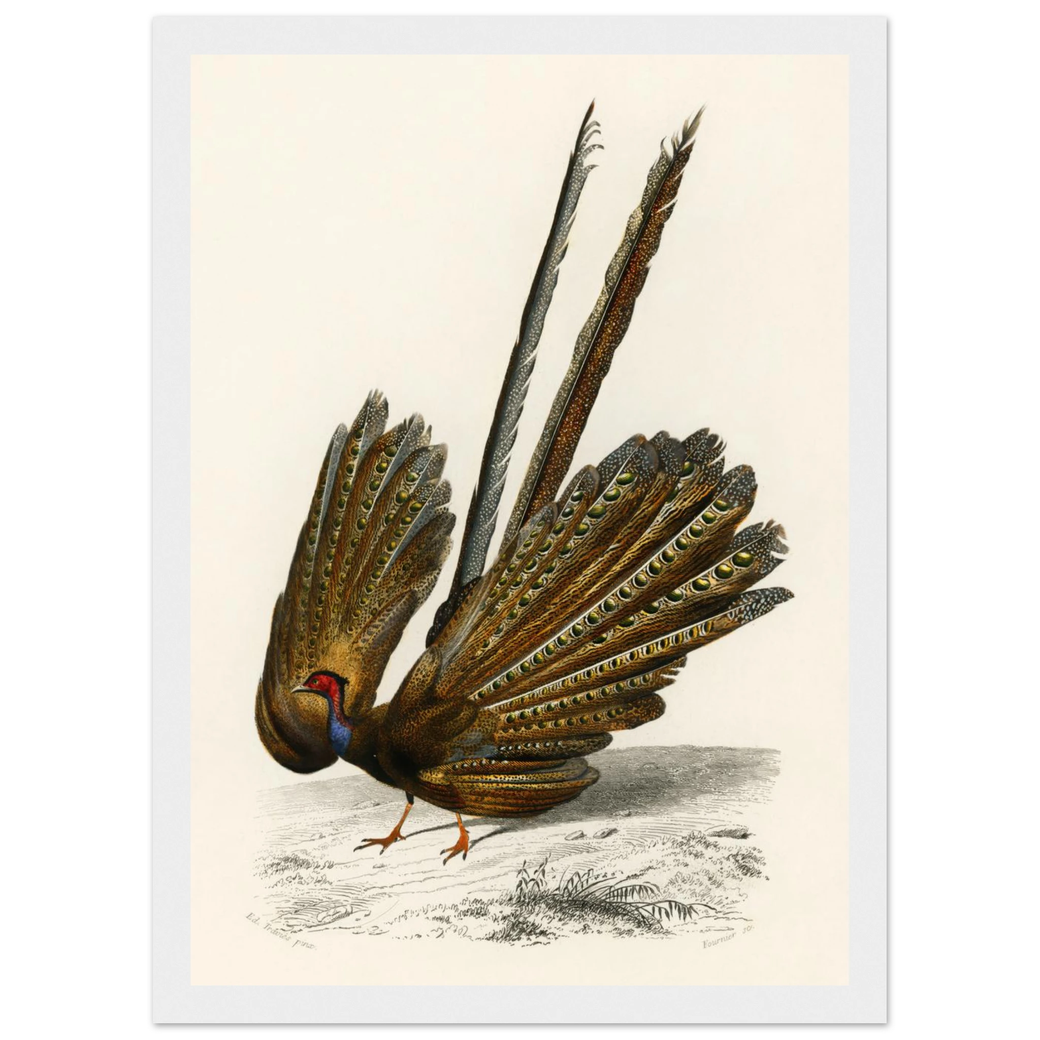 a90f284b-8aae-43f6-9216-554e2b1c4465