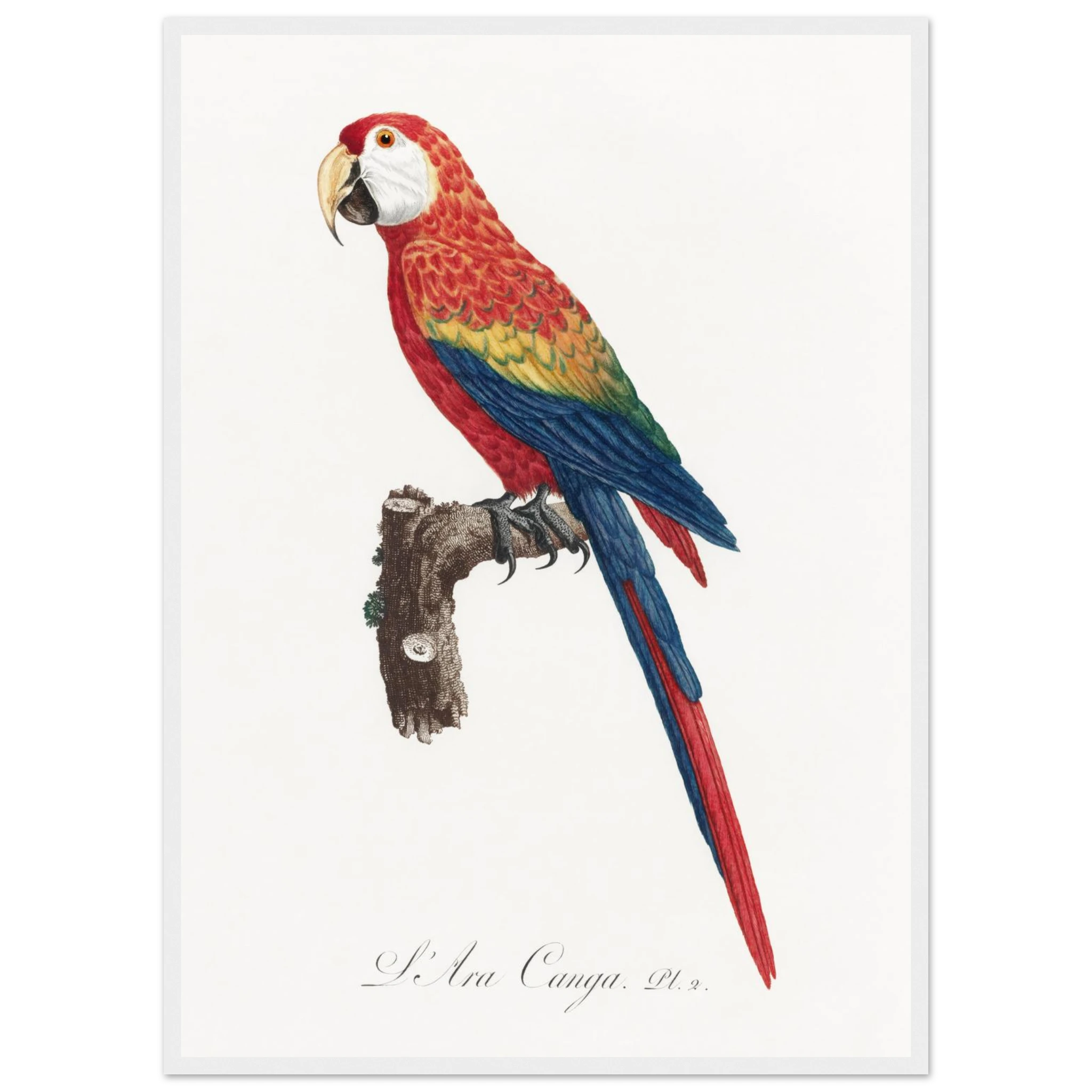 a924eba4-2fc2-48eb-91d3-0b9eff645e1c