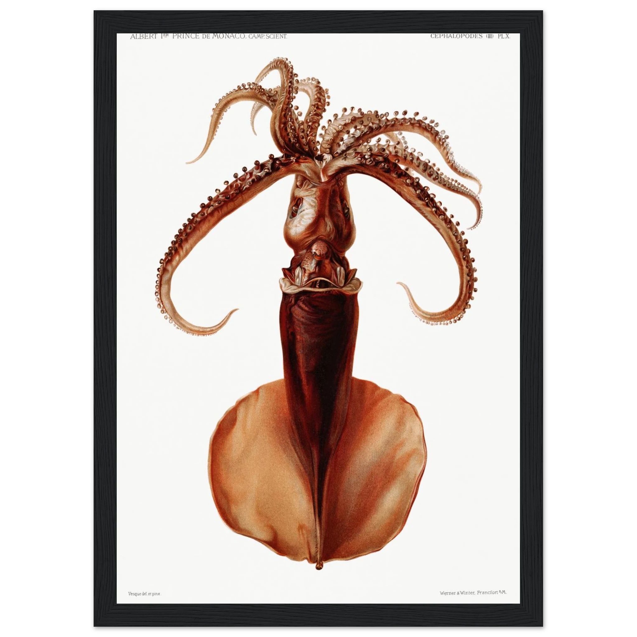 a95e5212-28af-4a82-962e-8038727c8838