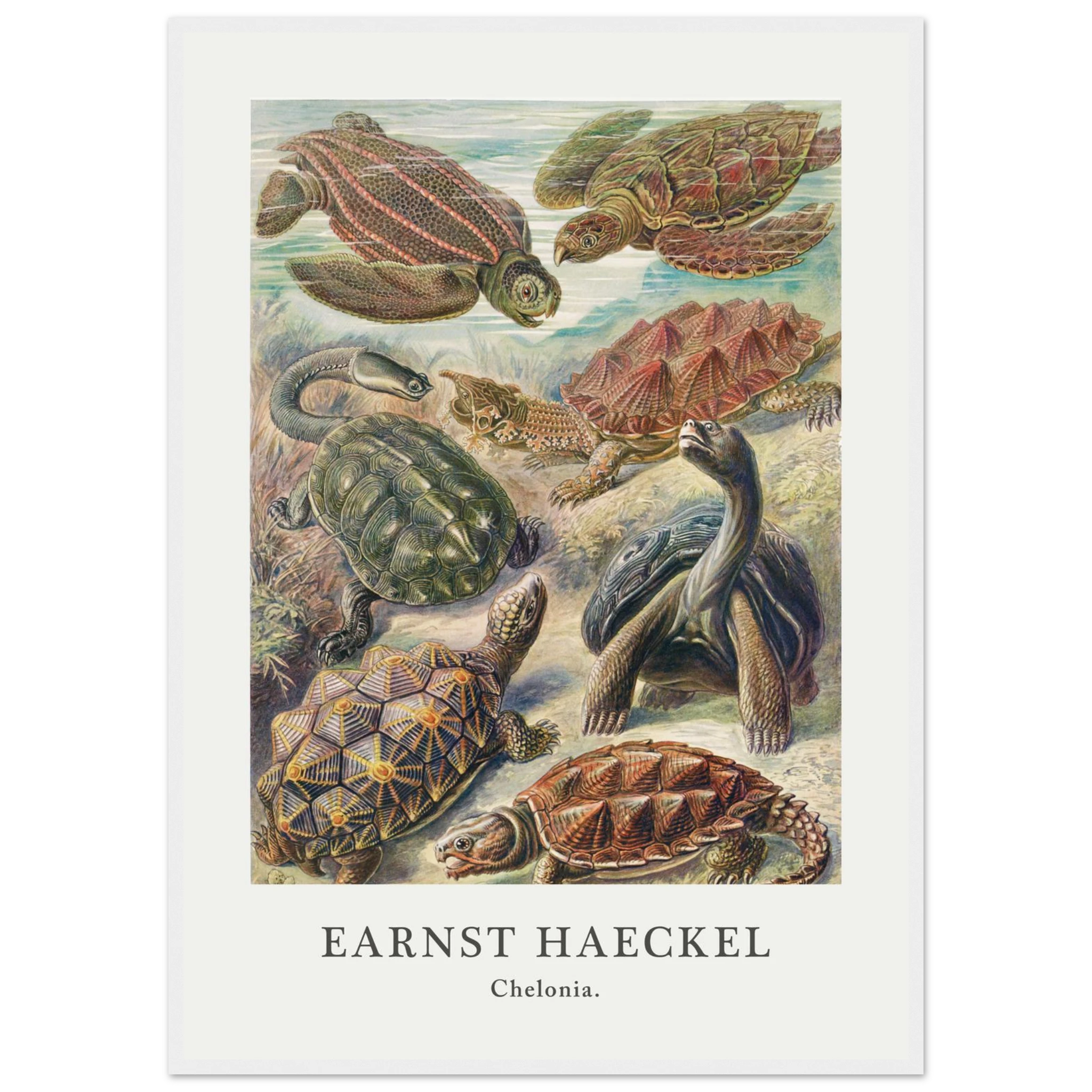 a9706947-b130-4b61-8e56-4c5408de5be4