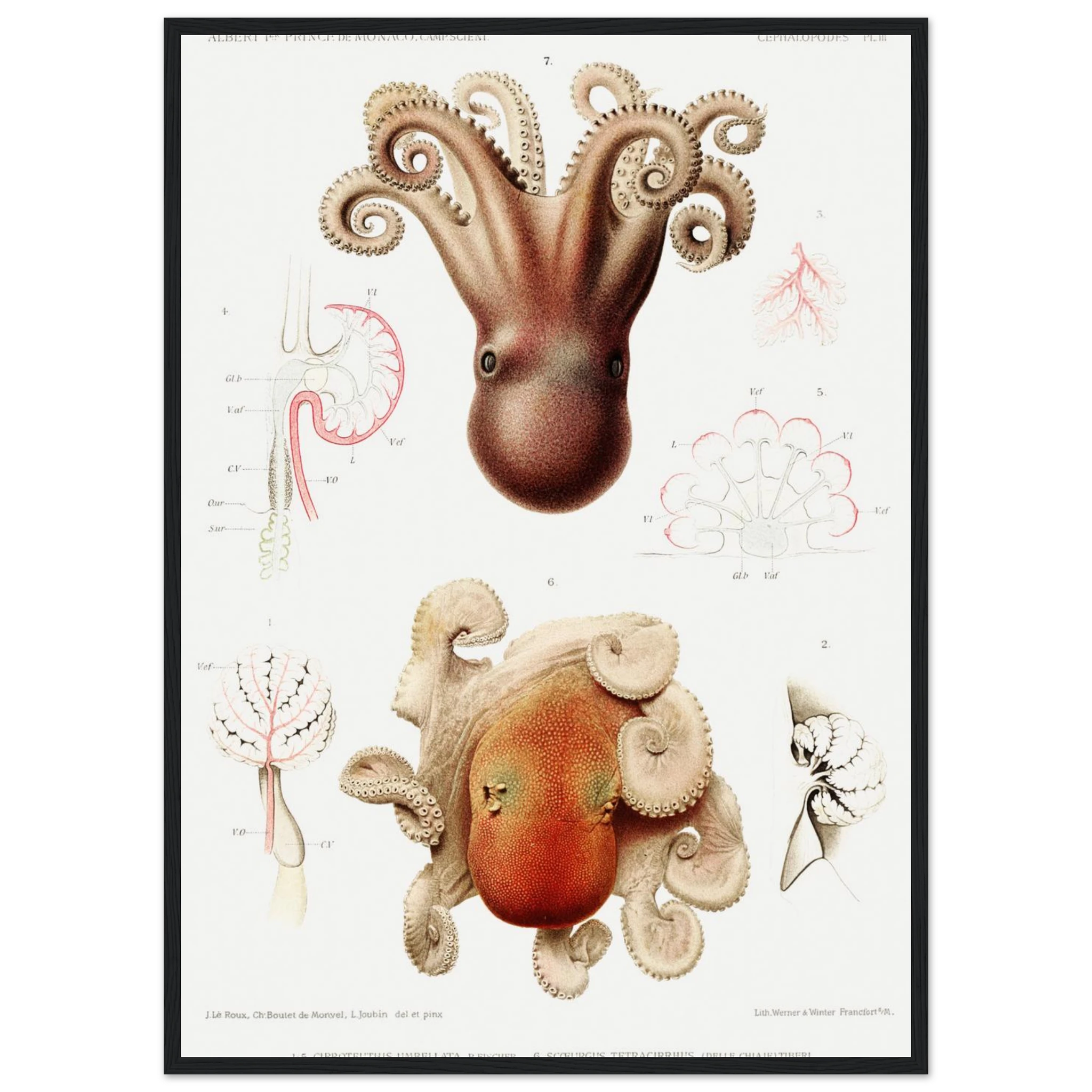 a9748d33-01da-4b43-8dc0-30013456335d