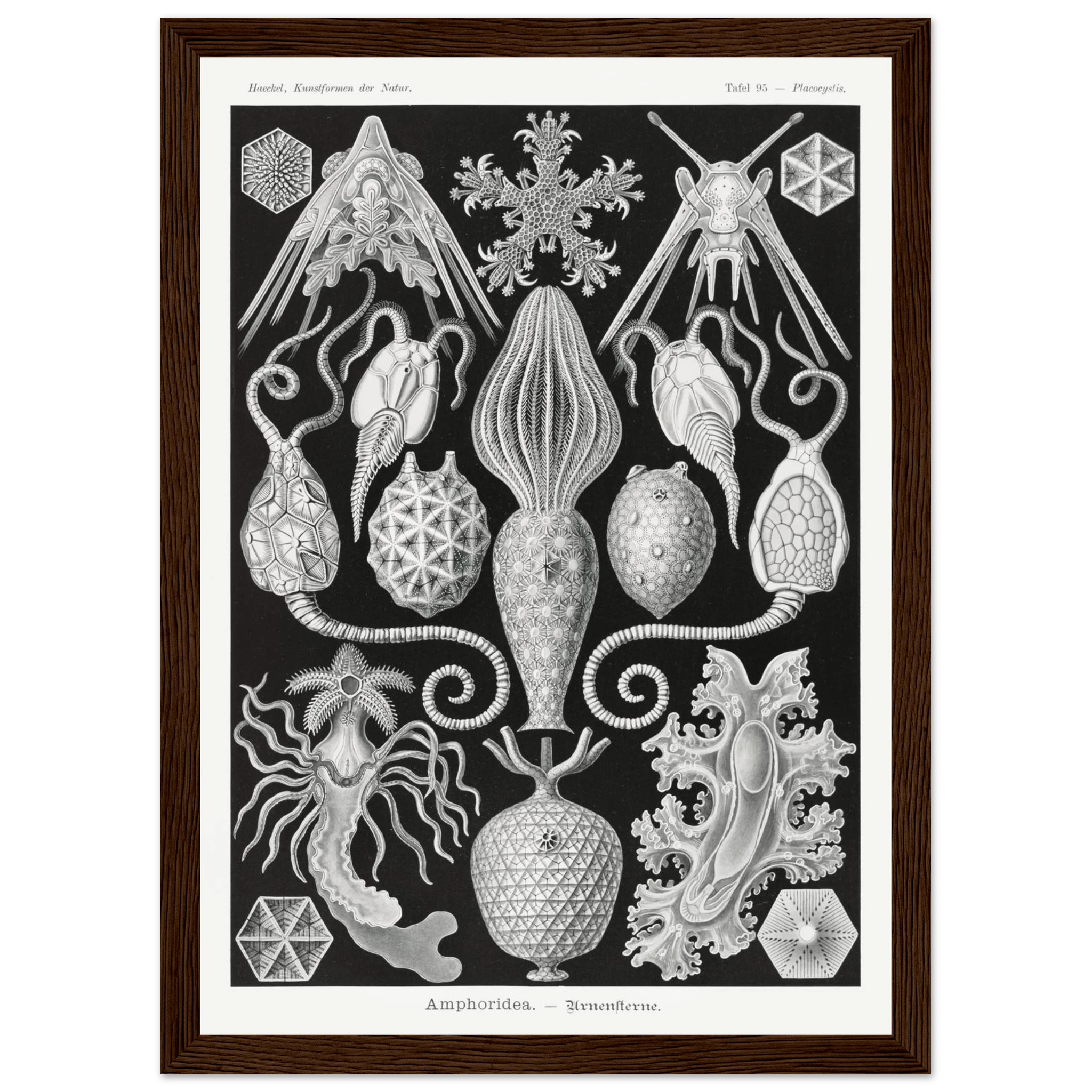 a99a3e5a-eb90-4c21-a34d-23238b1ba3cf