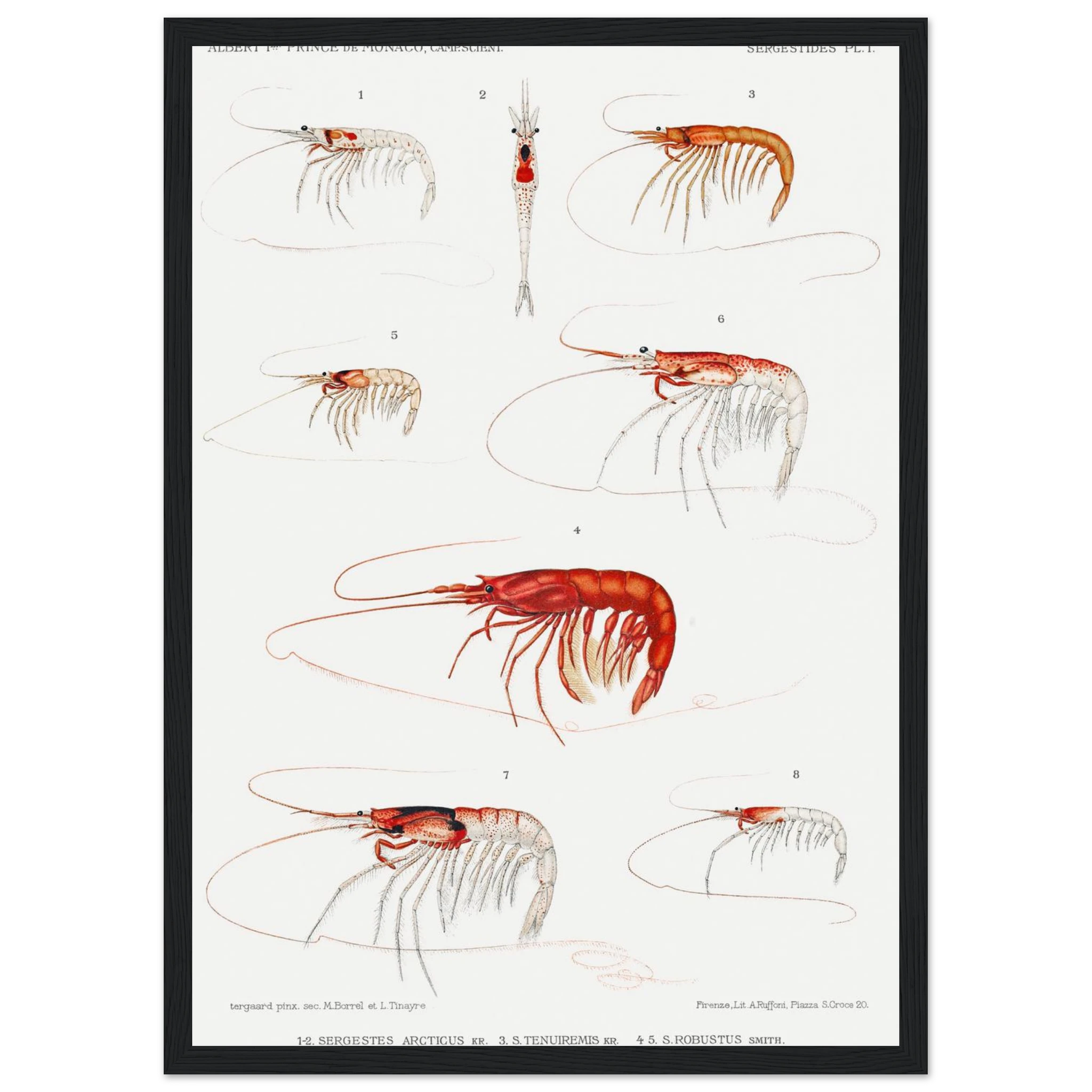 aa24f741-105d-4660-923c-d6fb05af91fd