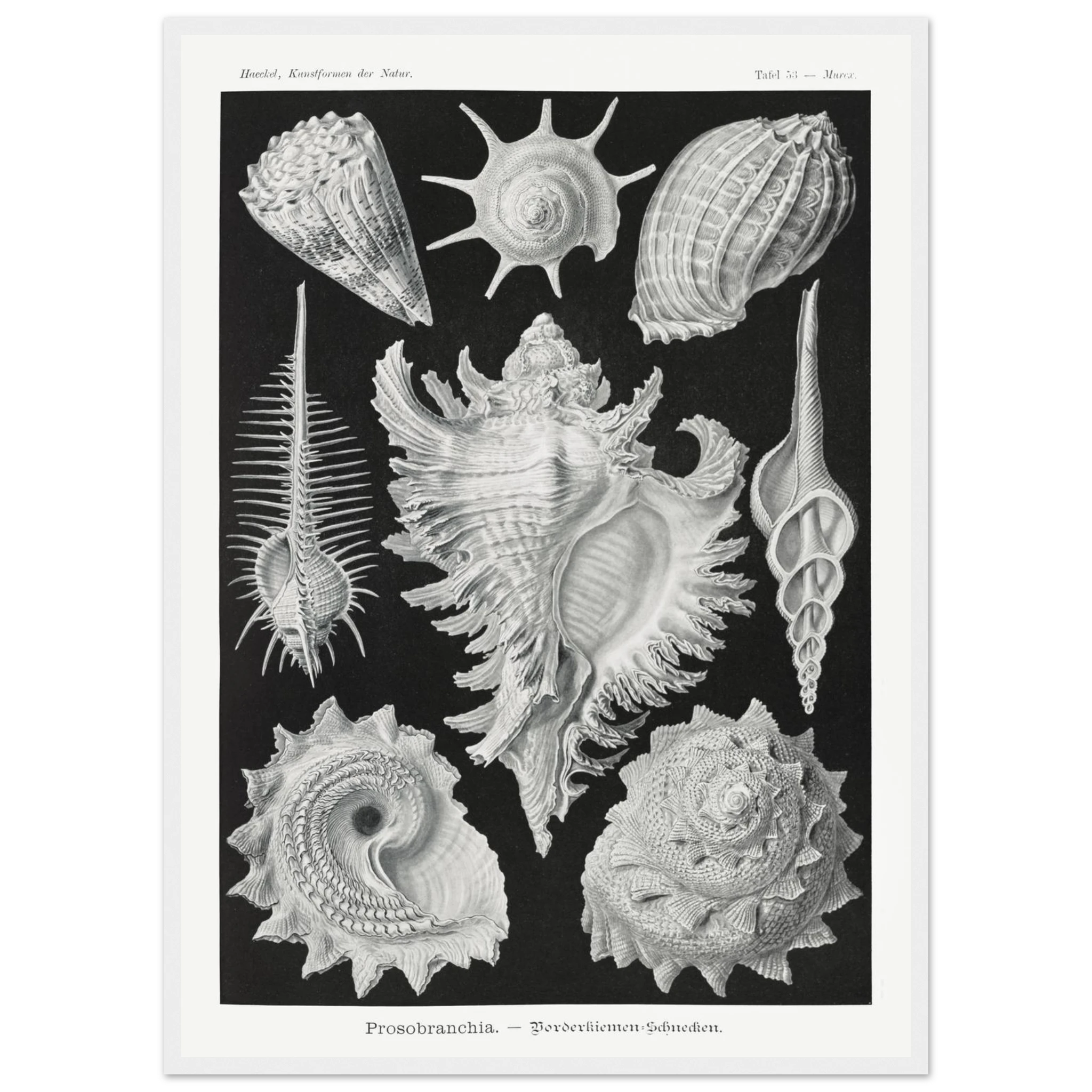 aa56c9d0-2e32-4c4c-abb6-5b89bff2dbc3