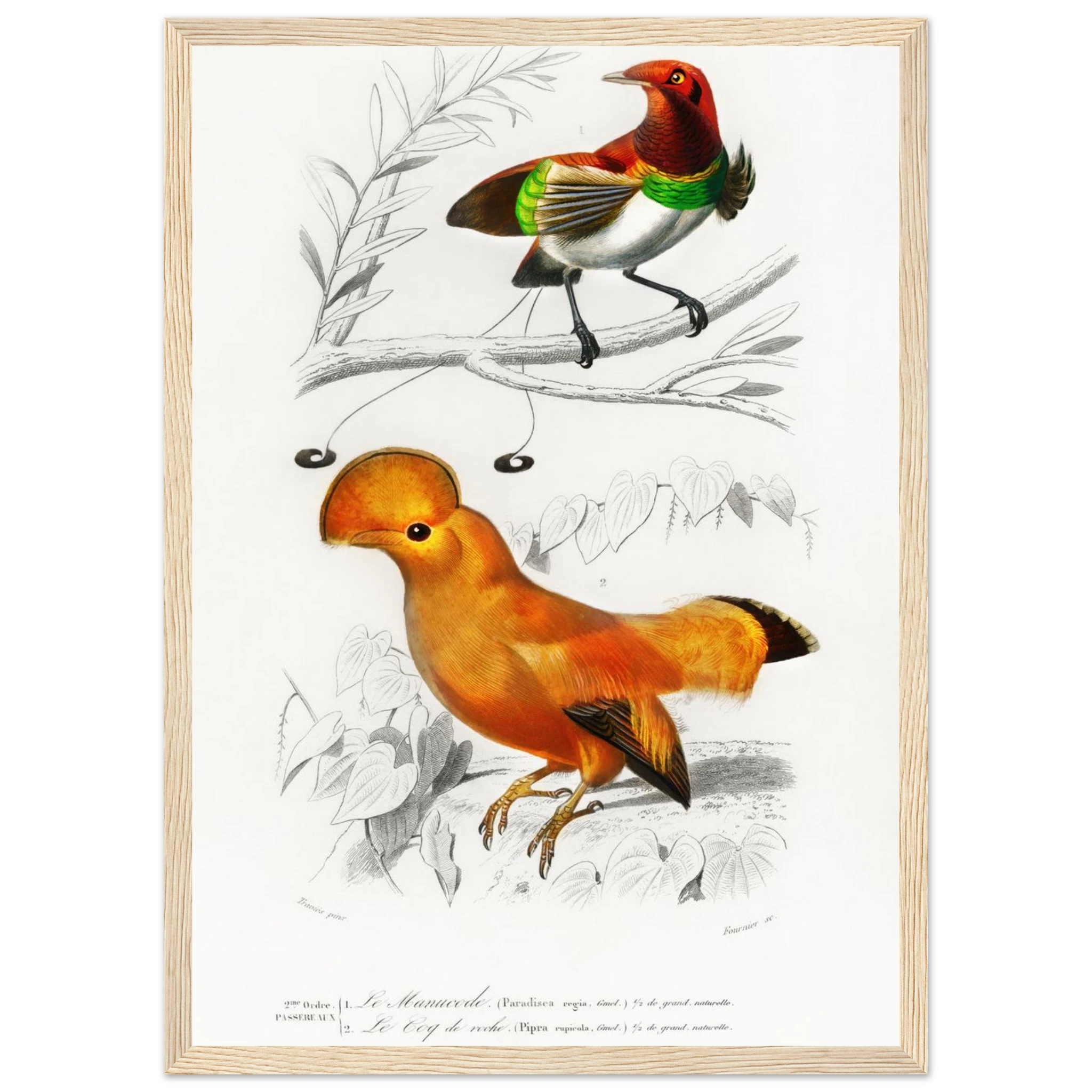 aa5a9054-91b8-4949-9082-b36f1531476f