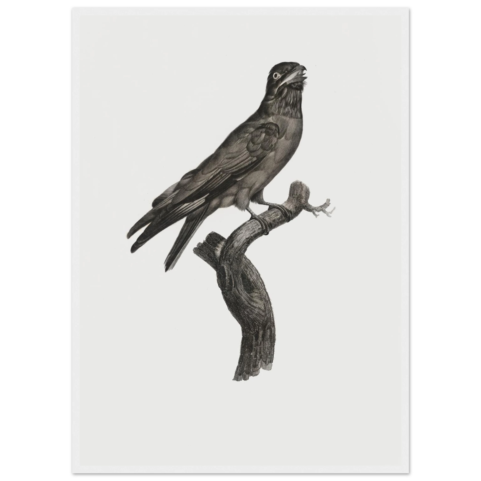 aaac9211-a93c-4c08-b30c-31a8c8cc57bc