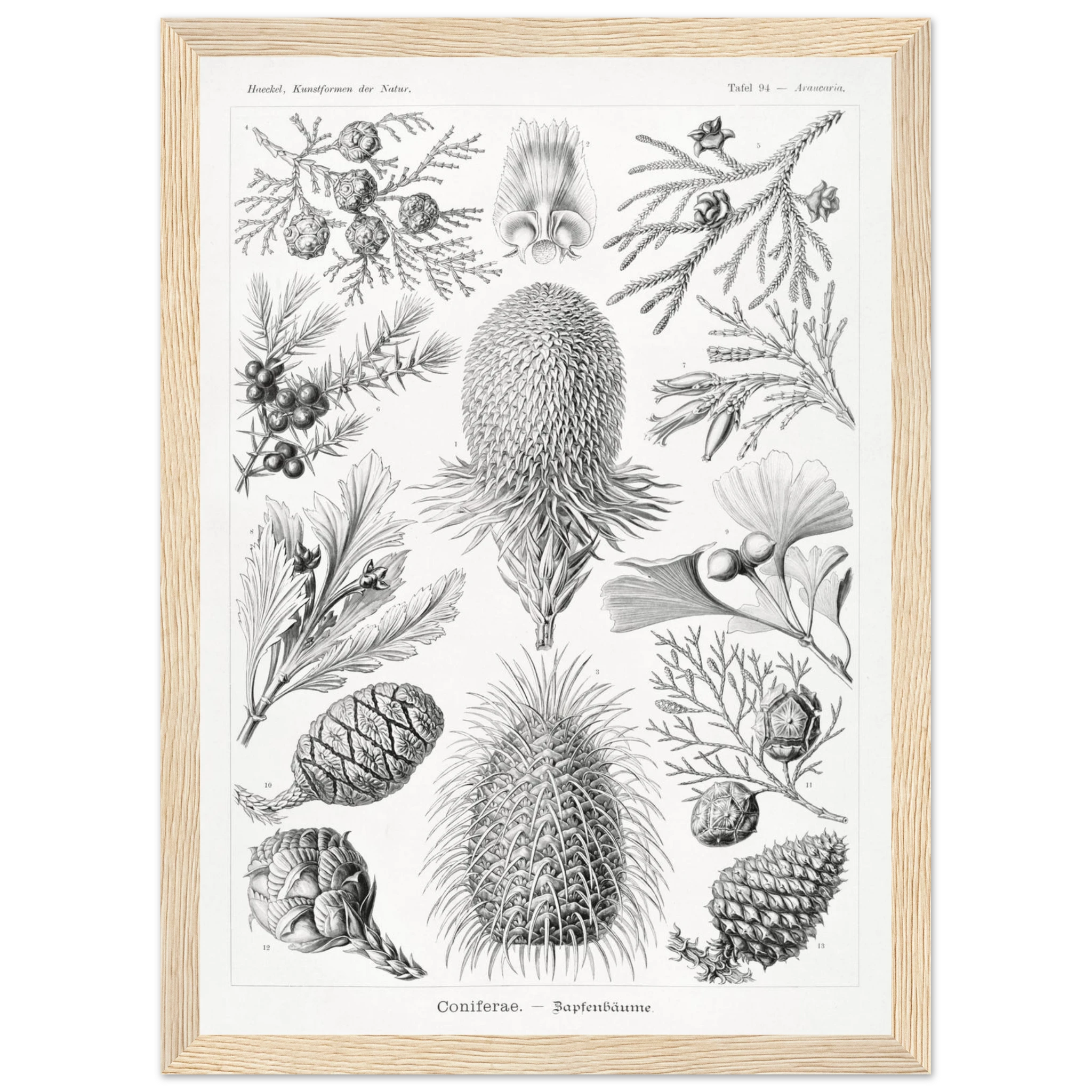 aaaf54e4-e511-4541-bfc5-0cb27947a8c7