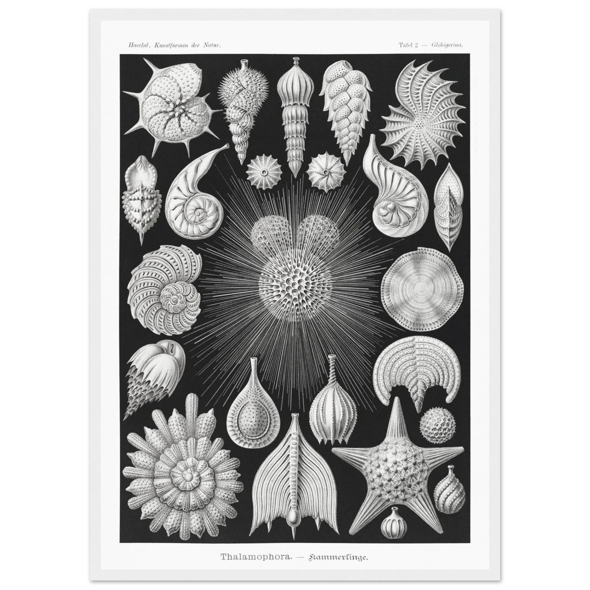 aabe29db-1f73-4a61-9cba-736c0ee2e1bb