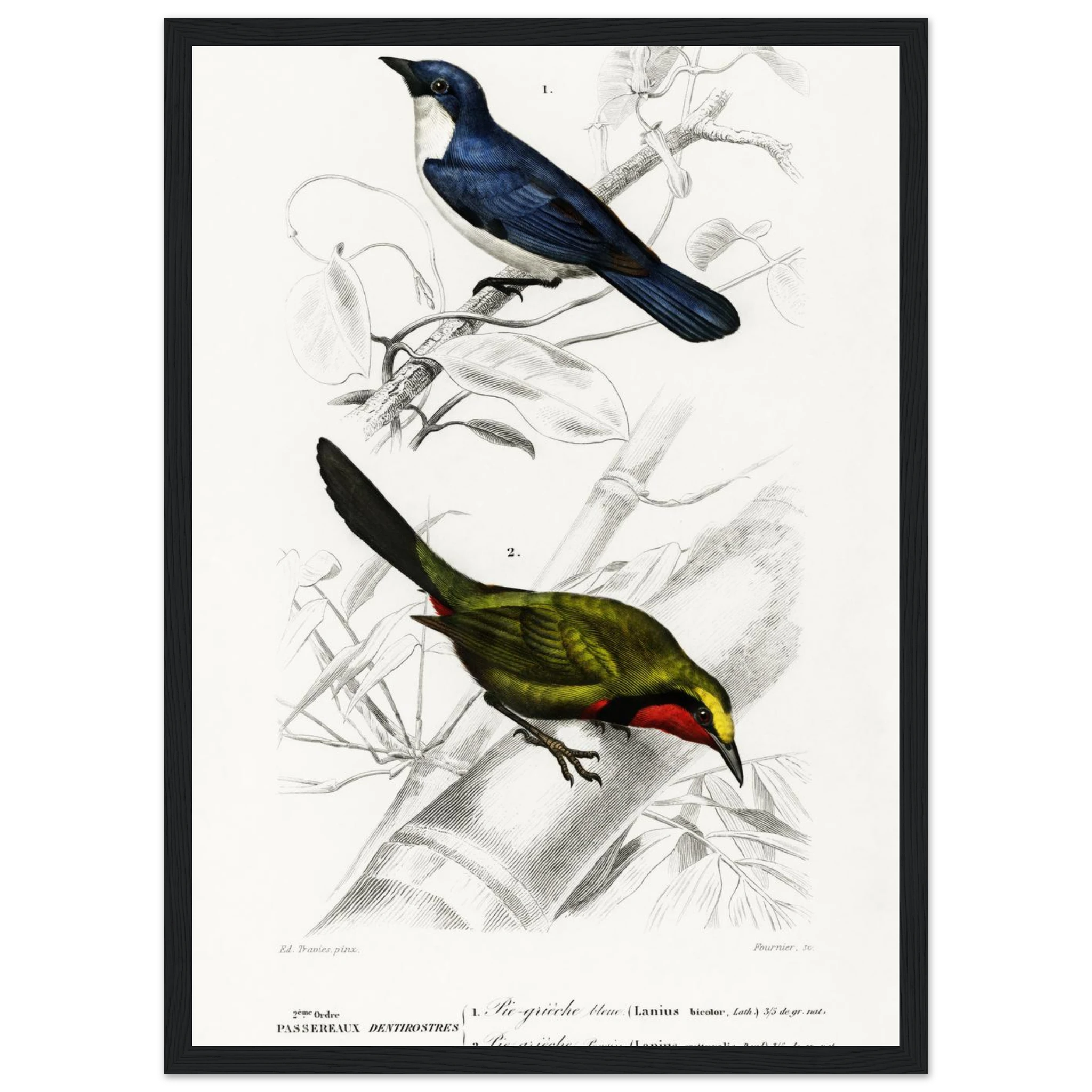 aae7fe85-1305-4180-b294-4829ca91339e