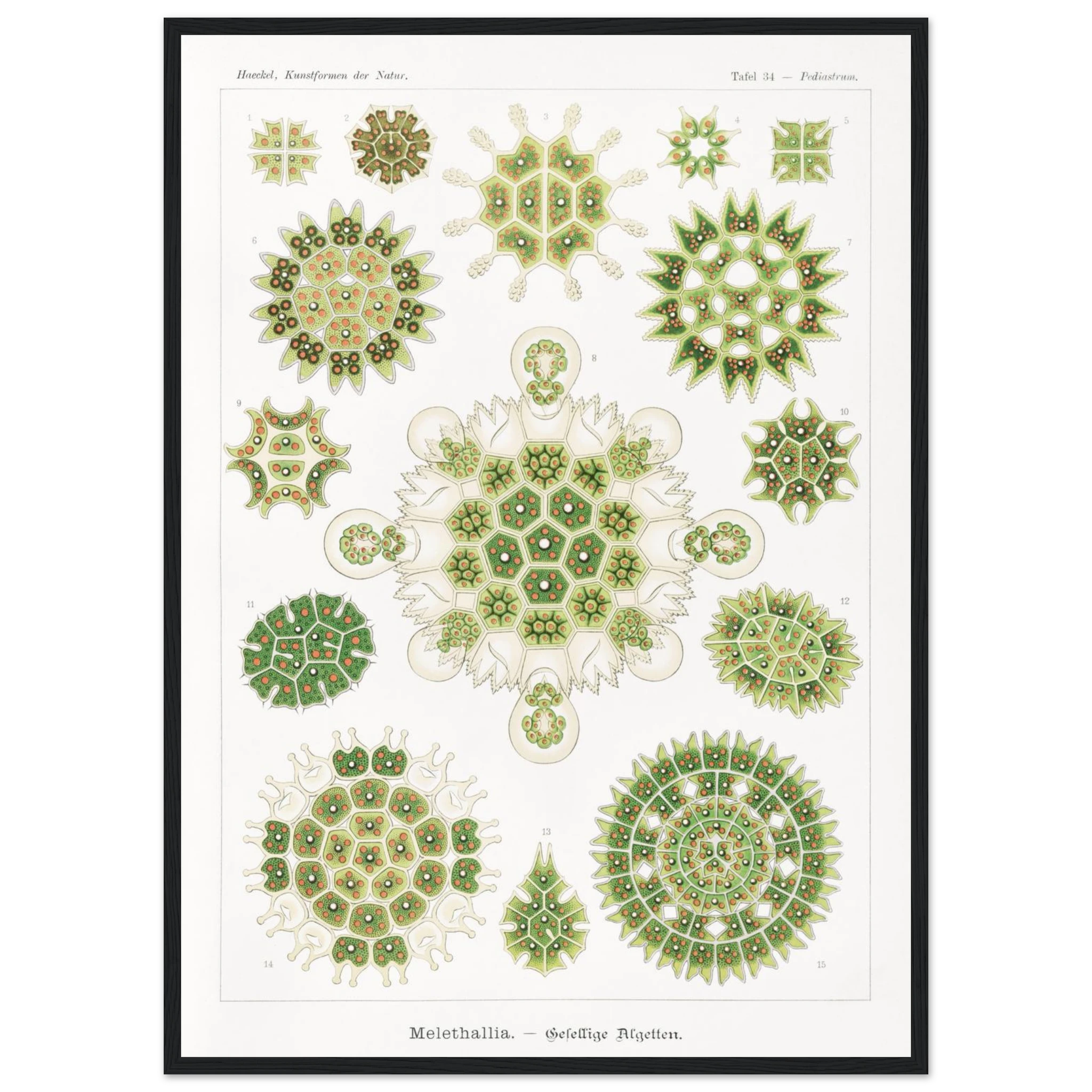 ab1221d0-8ee3-4968-a170-18509b26d864