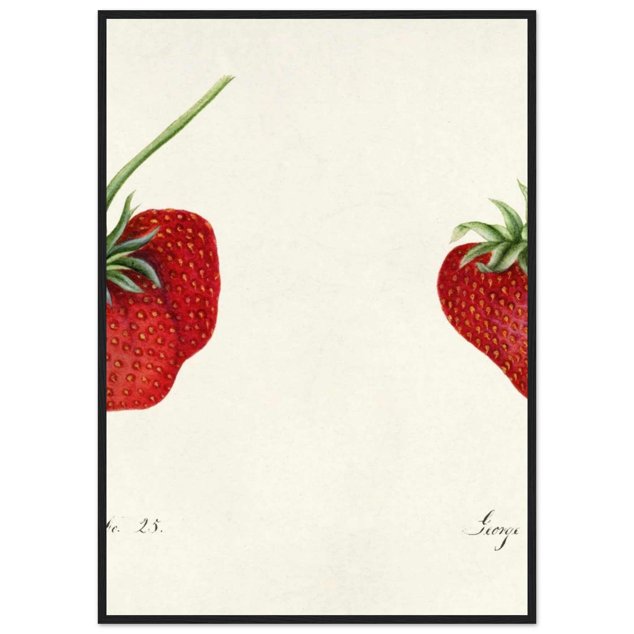 ab3472e4-a7d0-49f0-b385-104e152f3b58