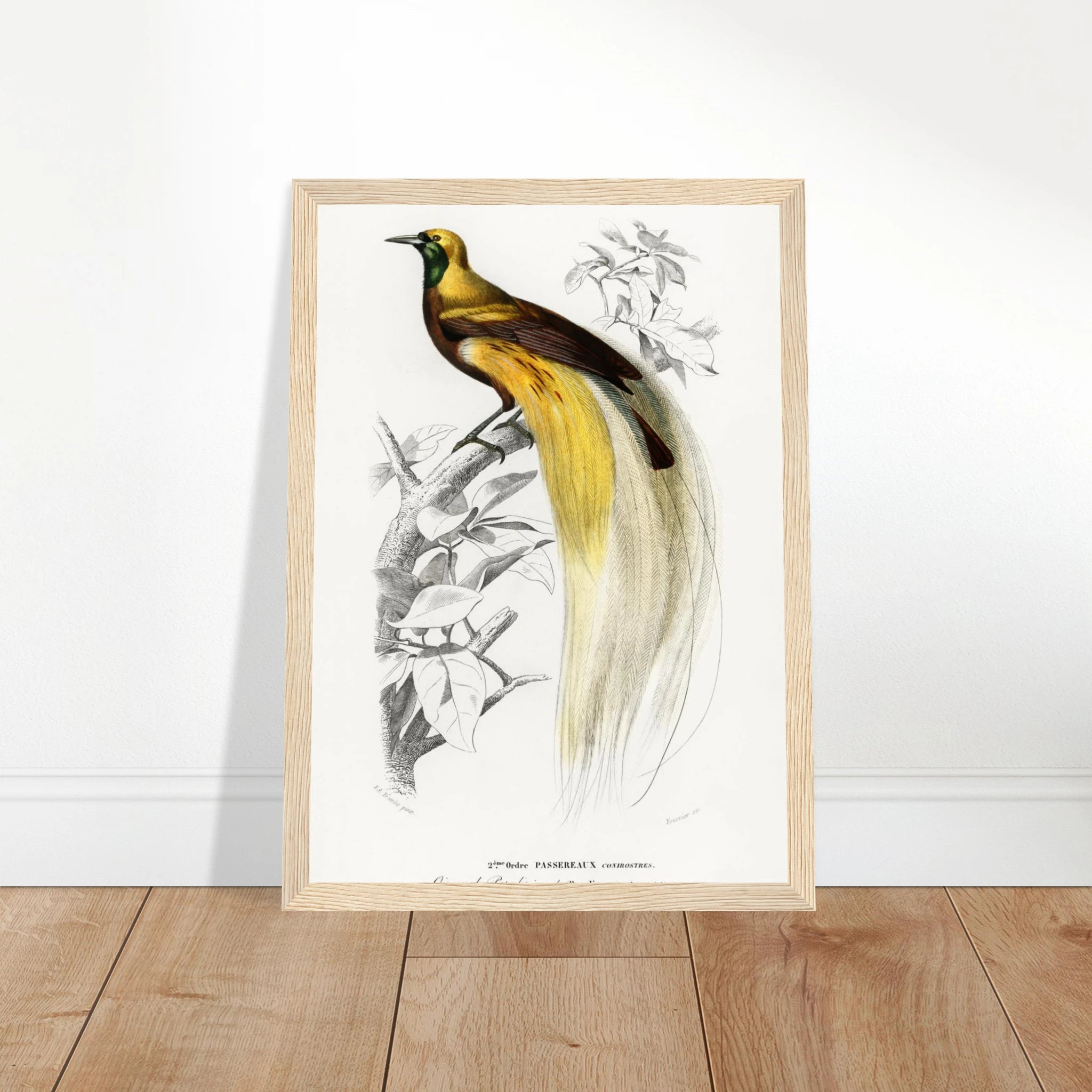 ab63b777-c203-4234-a12d-23e28adb4c55