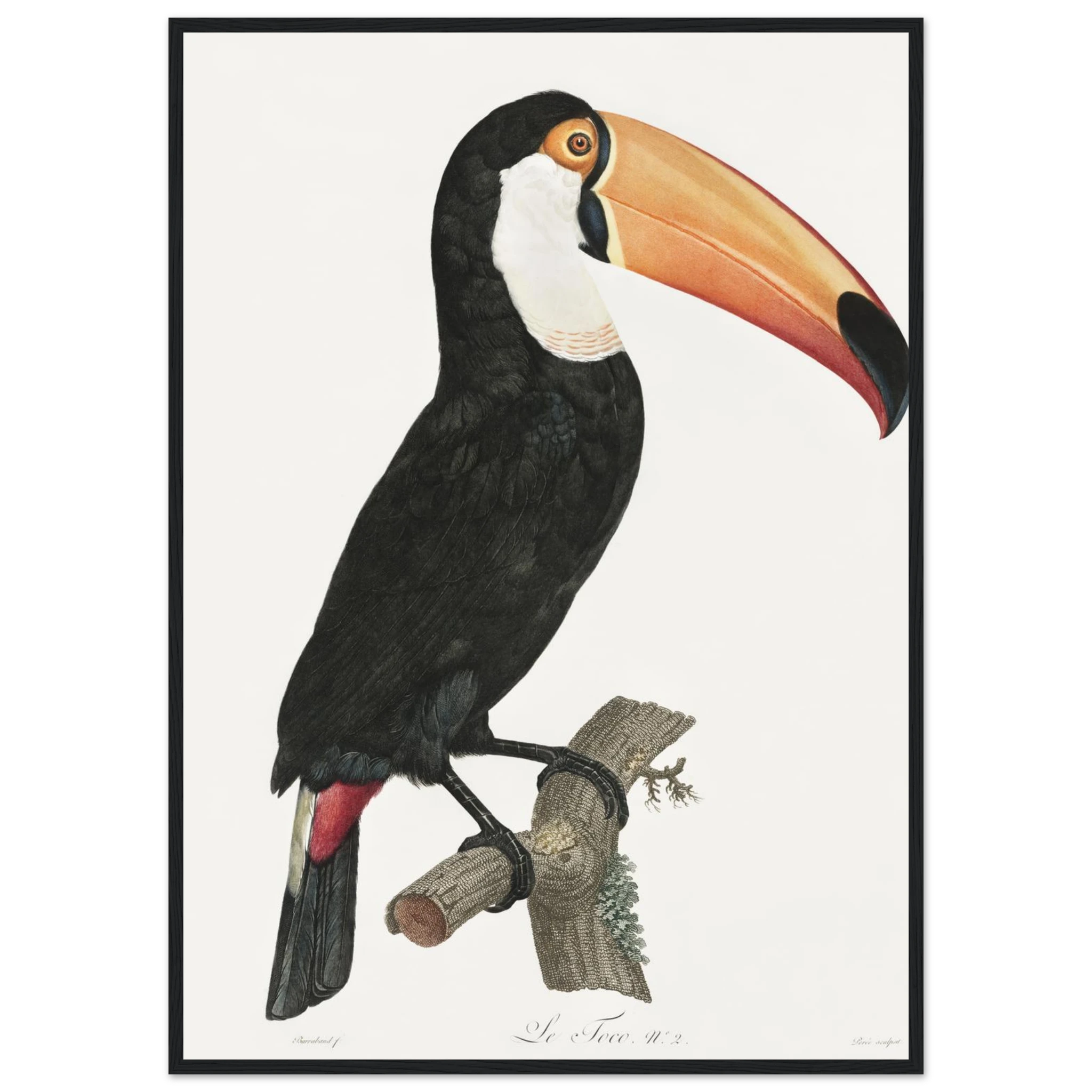 ab647126-a10a-43fc-8521-c212f15b4e31