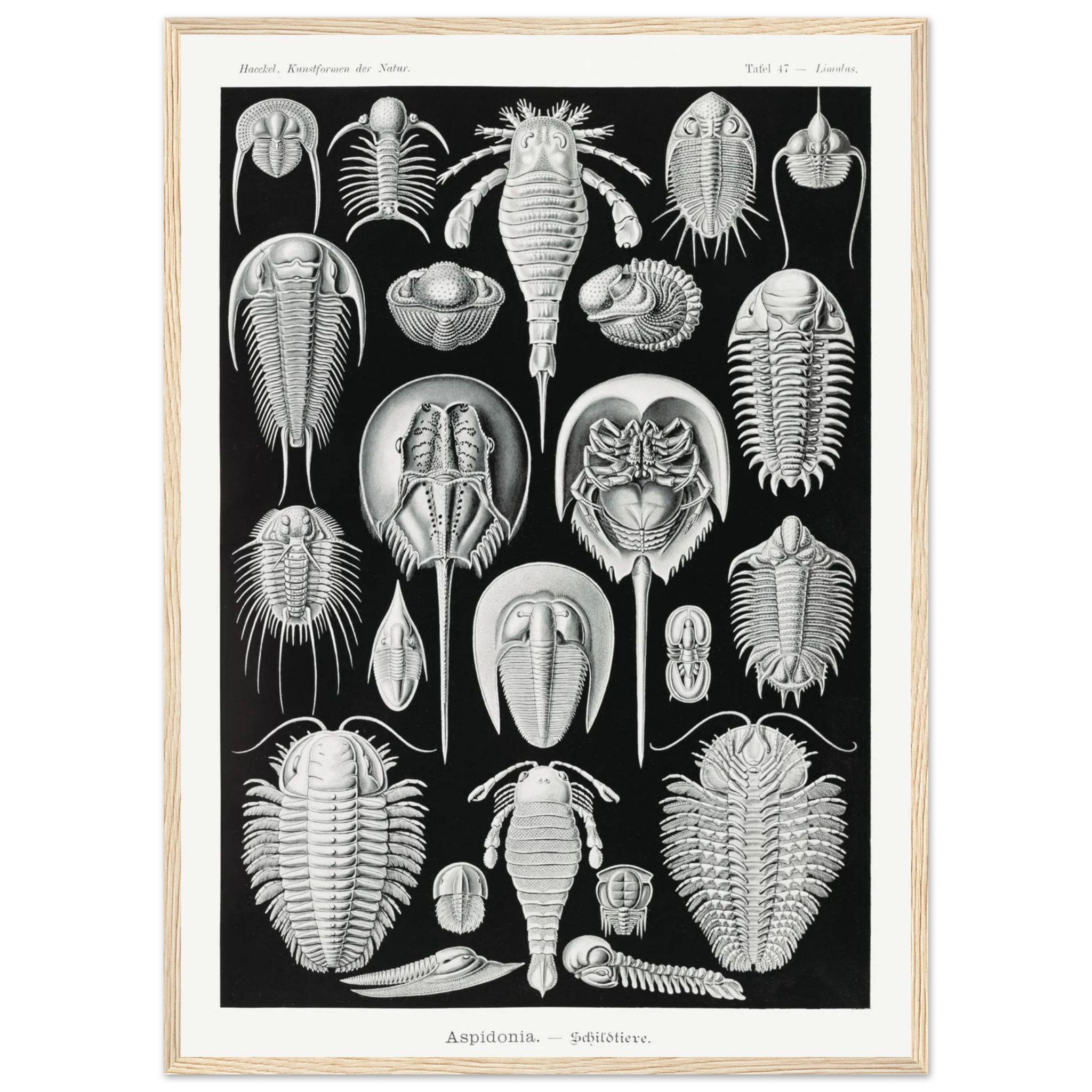 ab9ce7c6-2fb9-4be6-8571-4b15b644ad2e