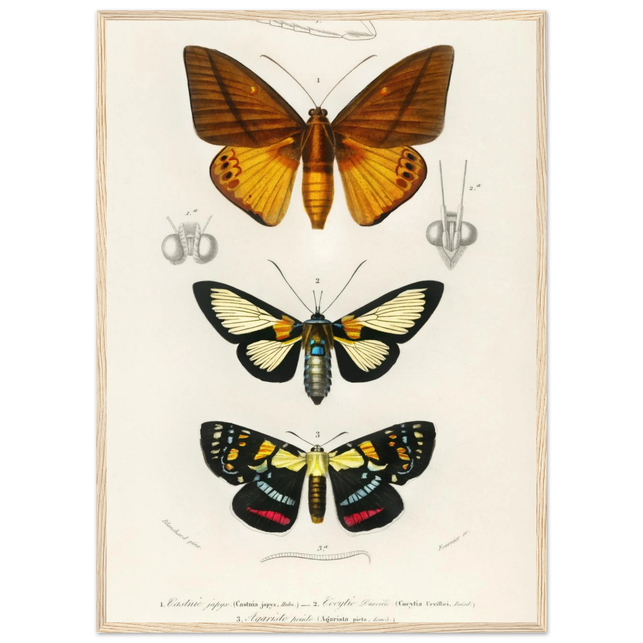 abb4ff03-e52e-4034-81d2-98d1c5d53447