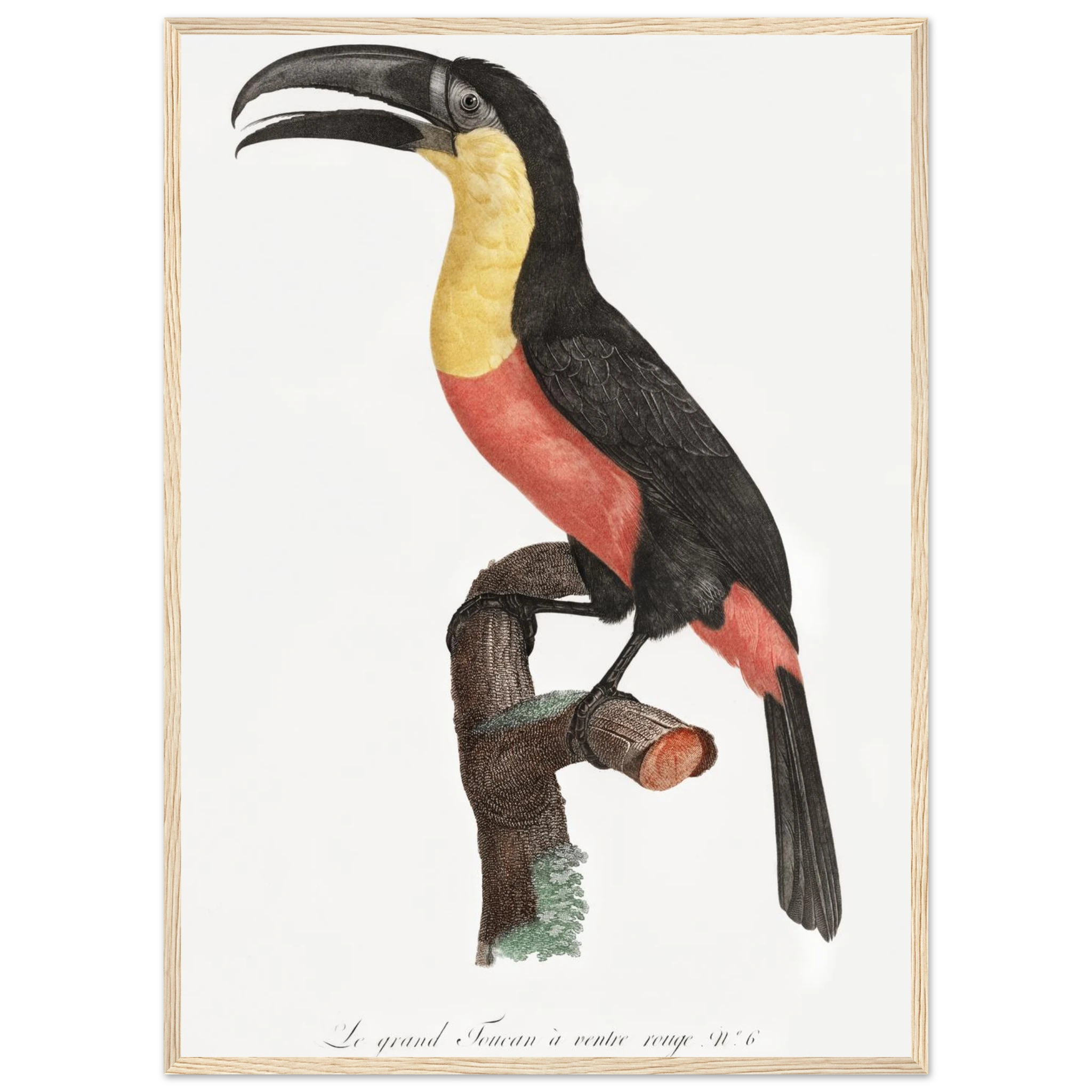 abfb43f6-4ede-42fa-b18a-fd73fdd7b1c2