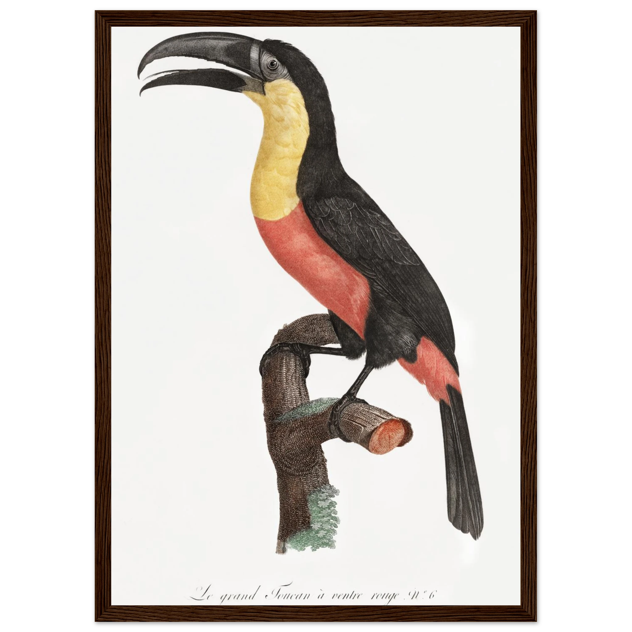 abfba619-224d-42f3-aa0c-3c5eb8a72bcb