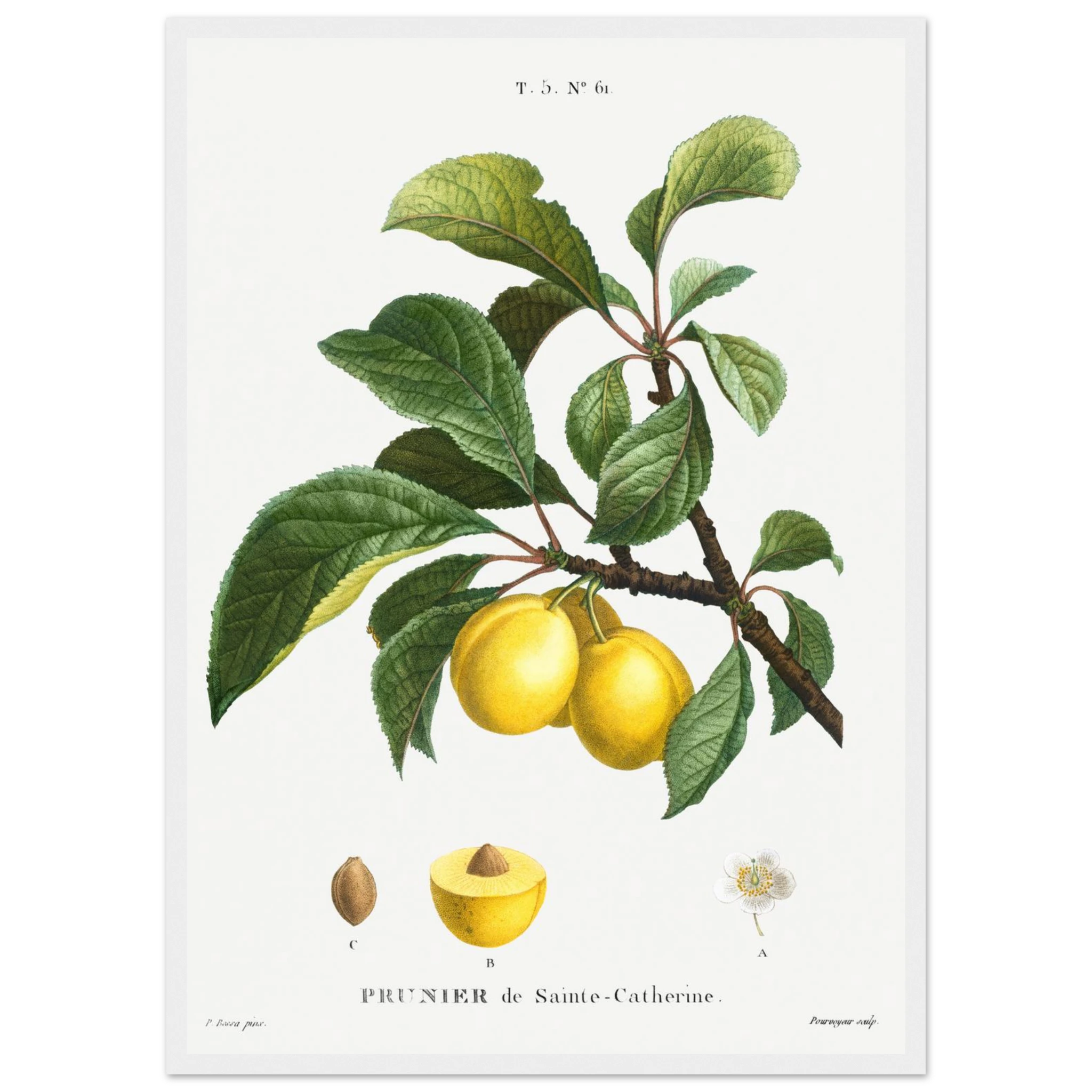 ac231127-9e4b-42e6-9c78-dde06dfcef71