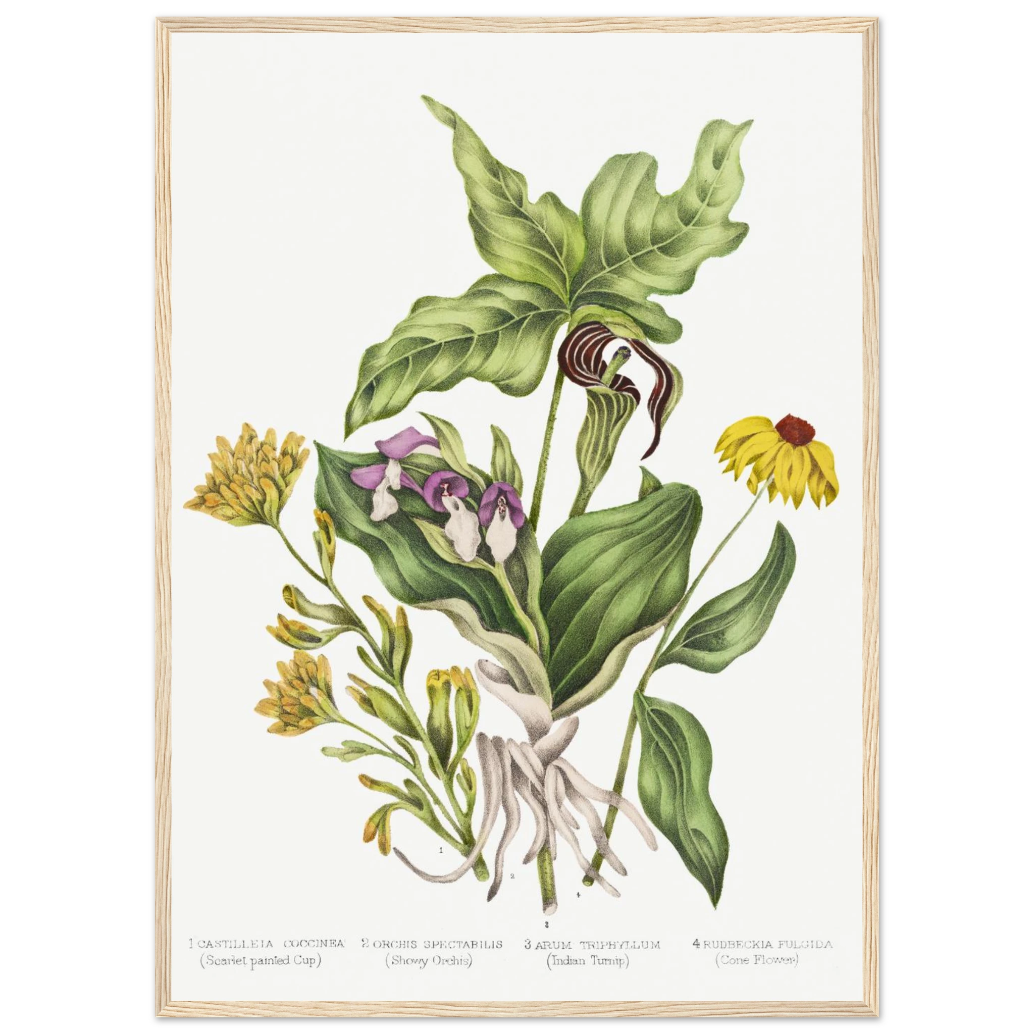 ac802175-744a-4b7e-a199-c5b0b26de696