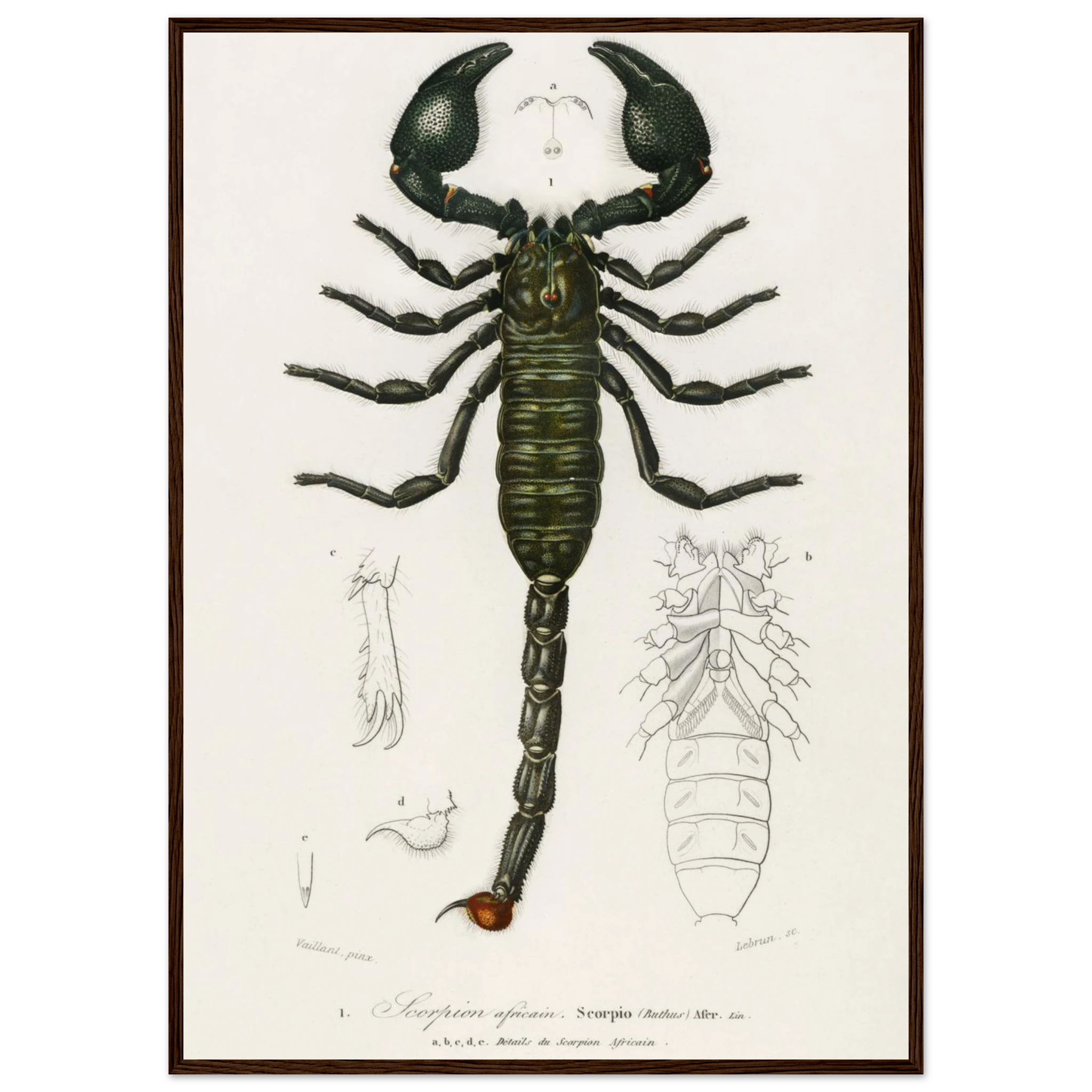 ac9c5de6-683c-4232-bbf2-3bfbfbaf34e5