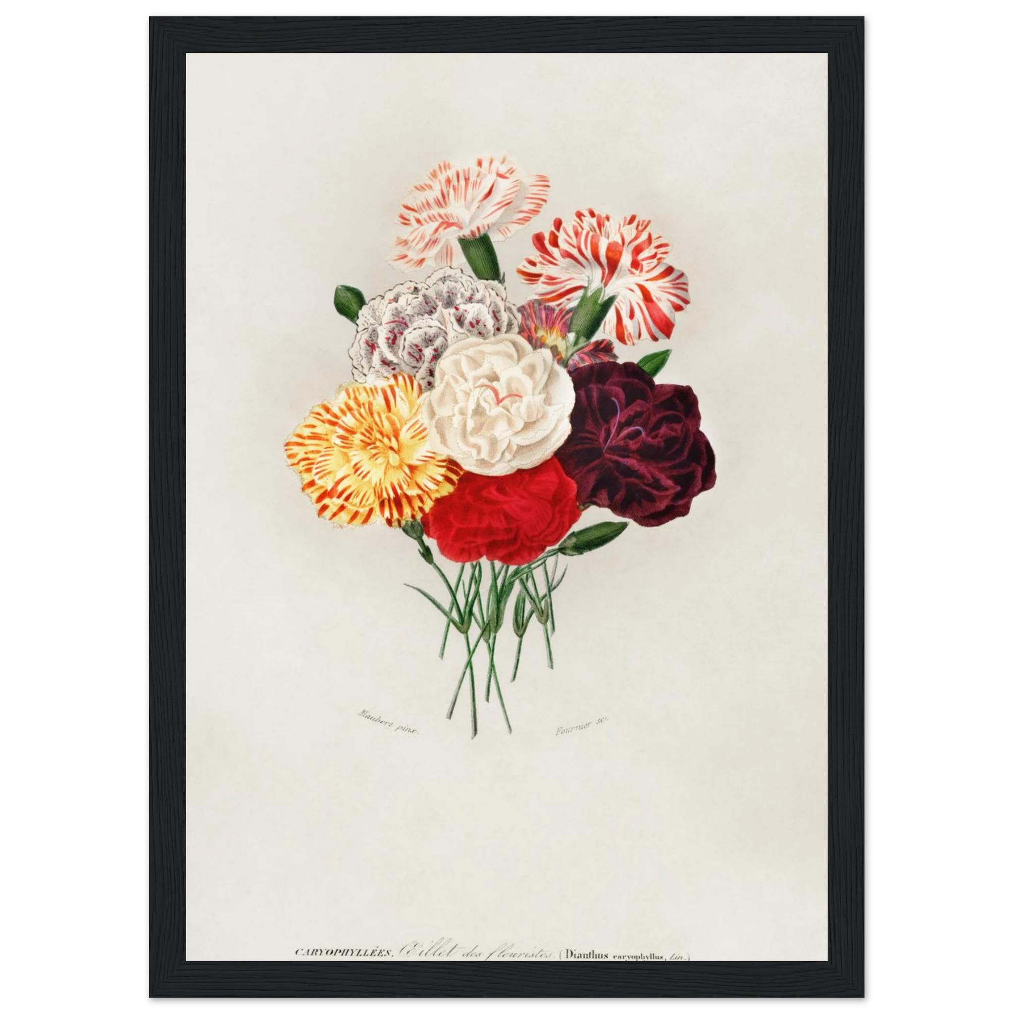 acad901d-ee64-46c7-b840-ee50946b2d2f