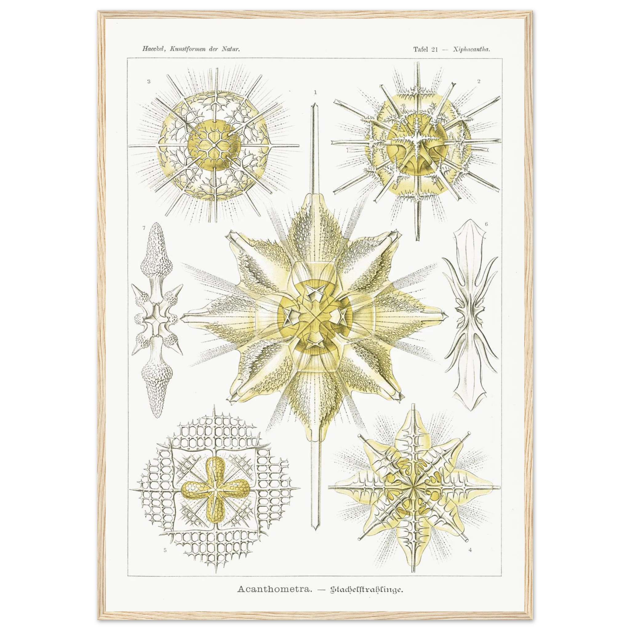 acb8a34e-8442-442d-93ad-080aab3a5664