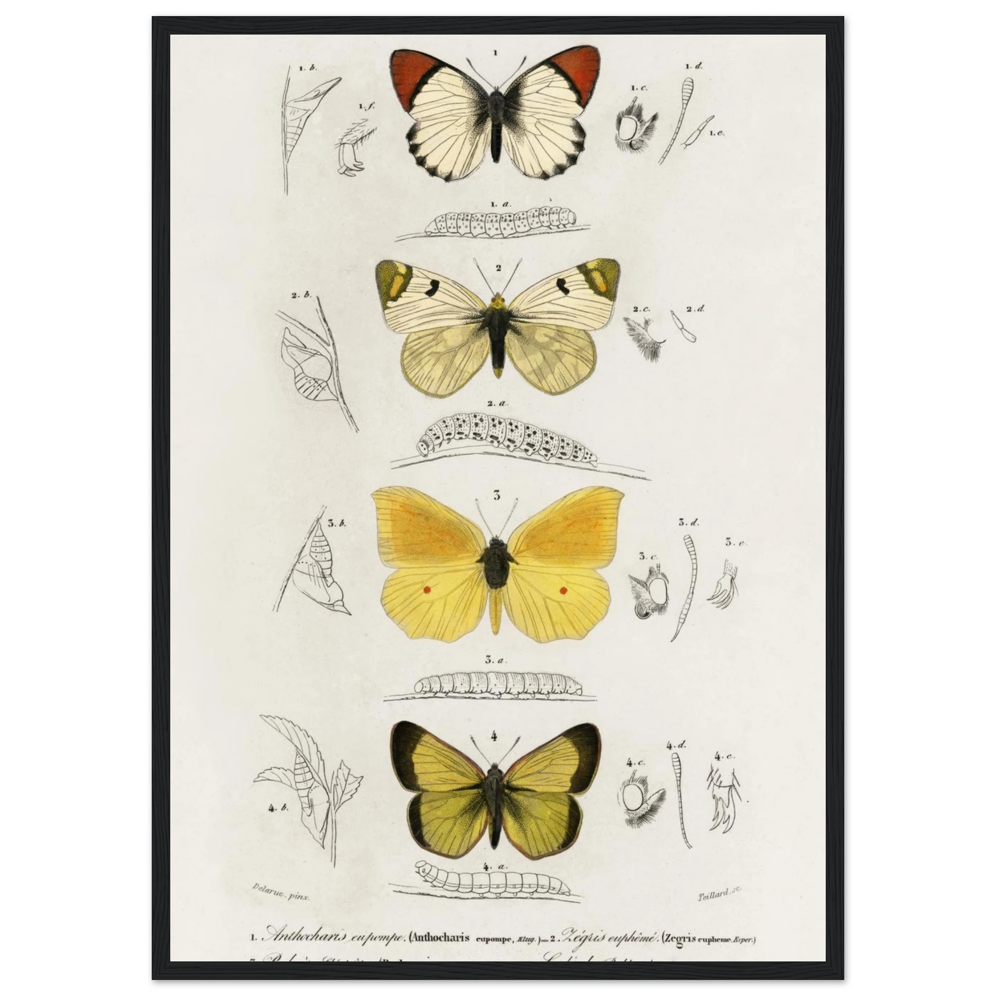 ace2c4fe-97ab-4258-b60a-52c57814c282