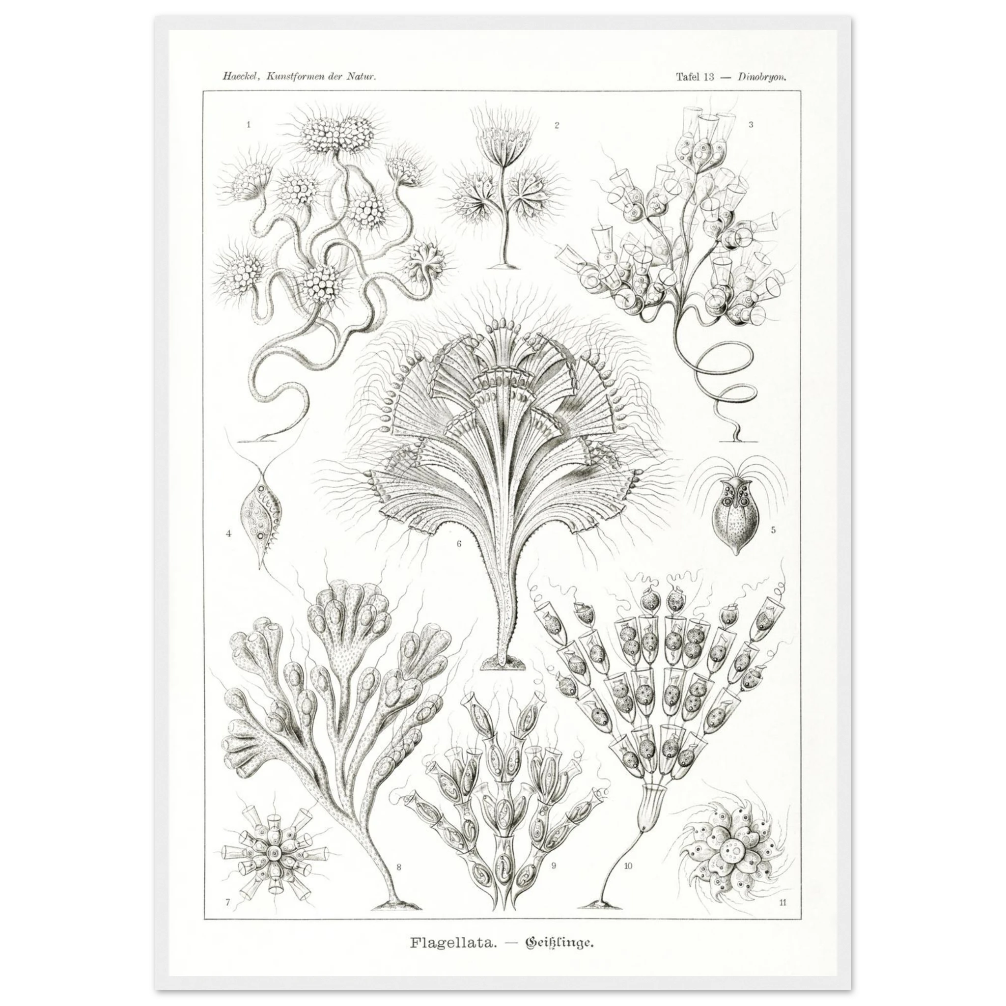 ad10e57a-d272-4db3-8ae3-944548af1447