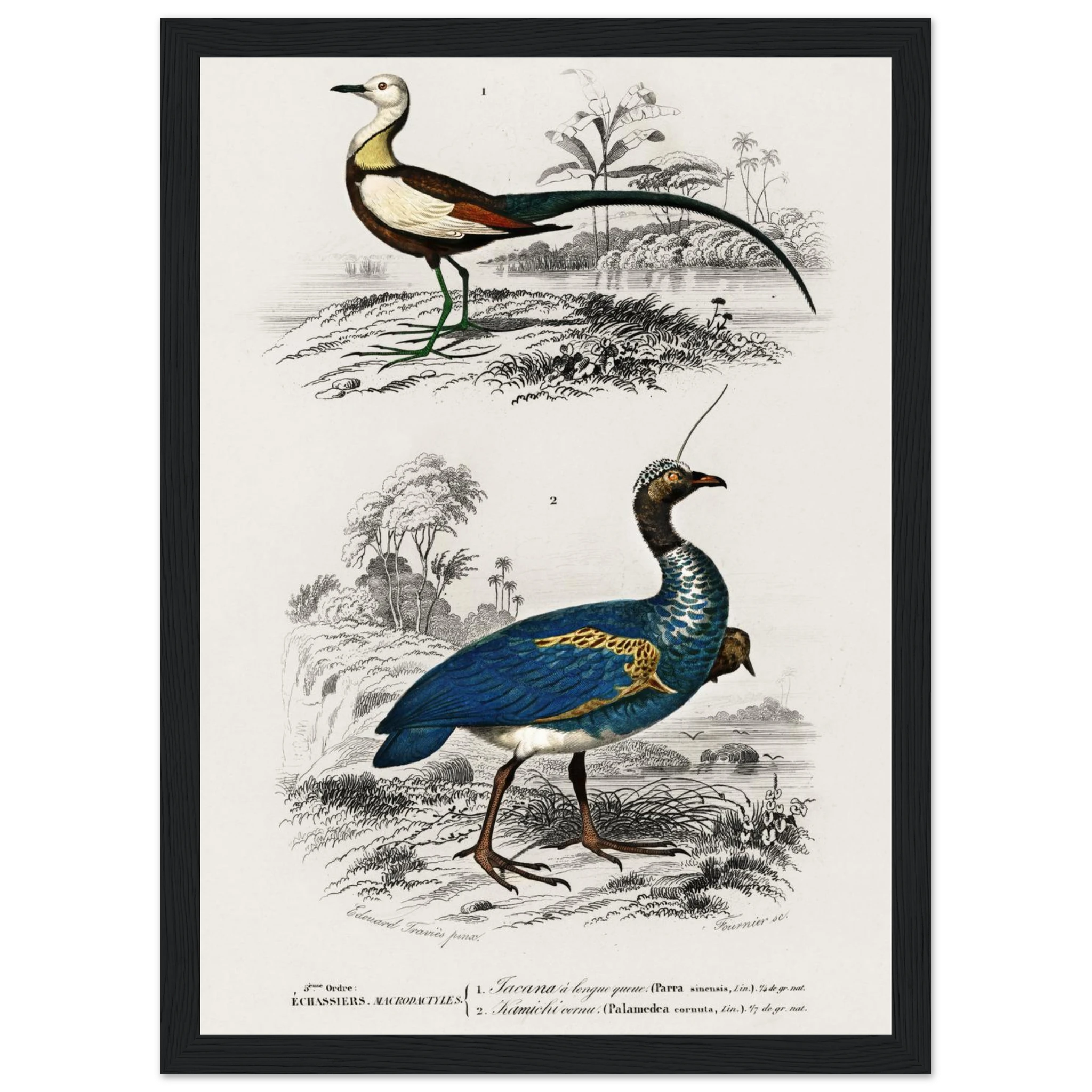 ad115dd4-c9ea-4244-8204-e9a416c7e467